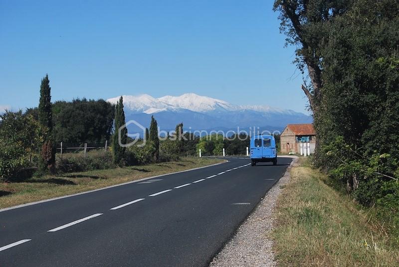 Maison en pierre de 112 m² - 16-Route de Sorède - Canigou.JPG
