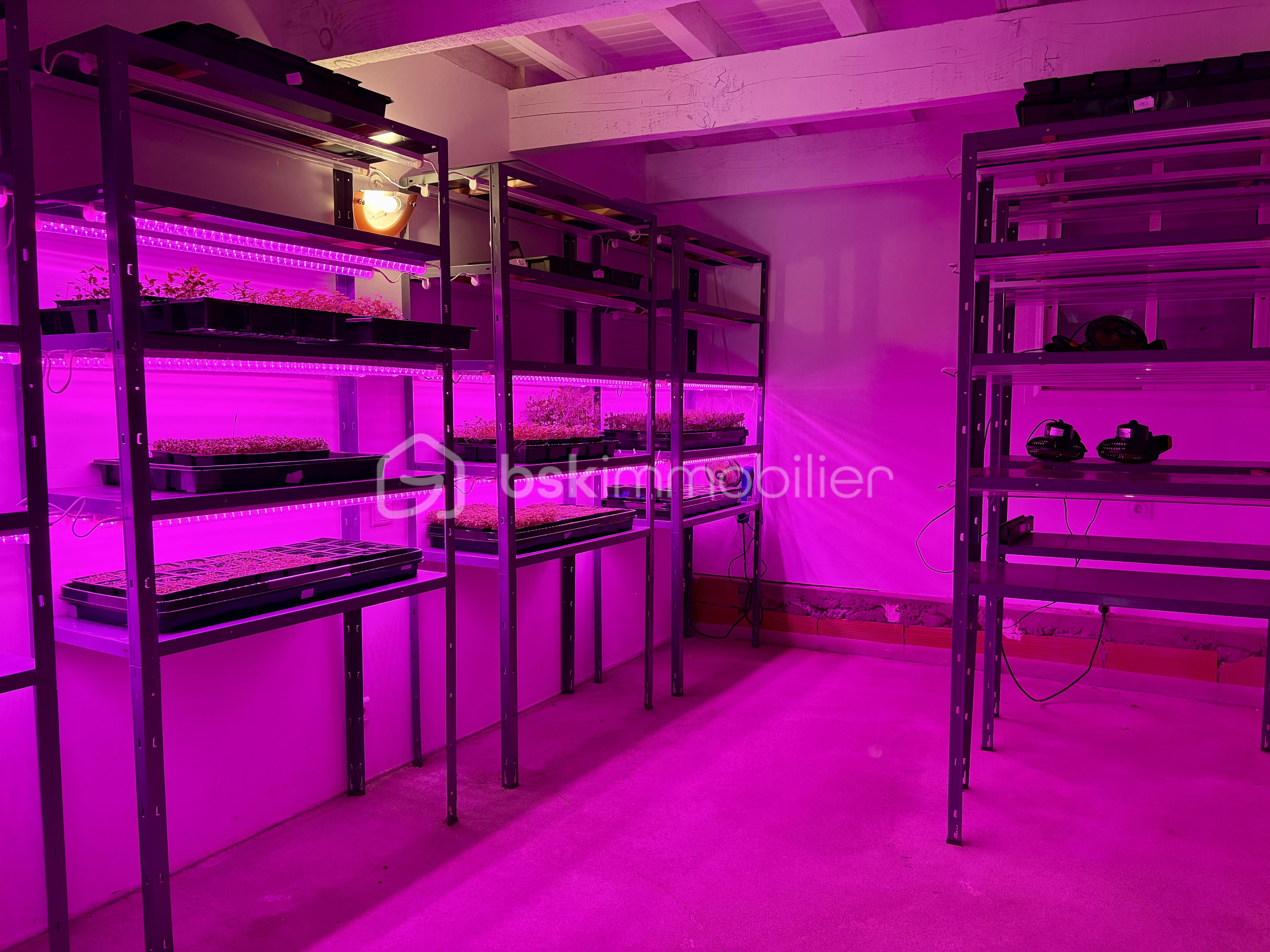 Maison en pierre de 112 m² - image00016.jpeg