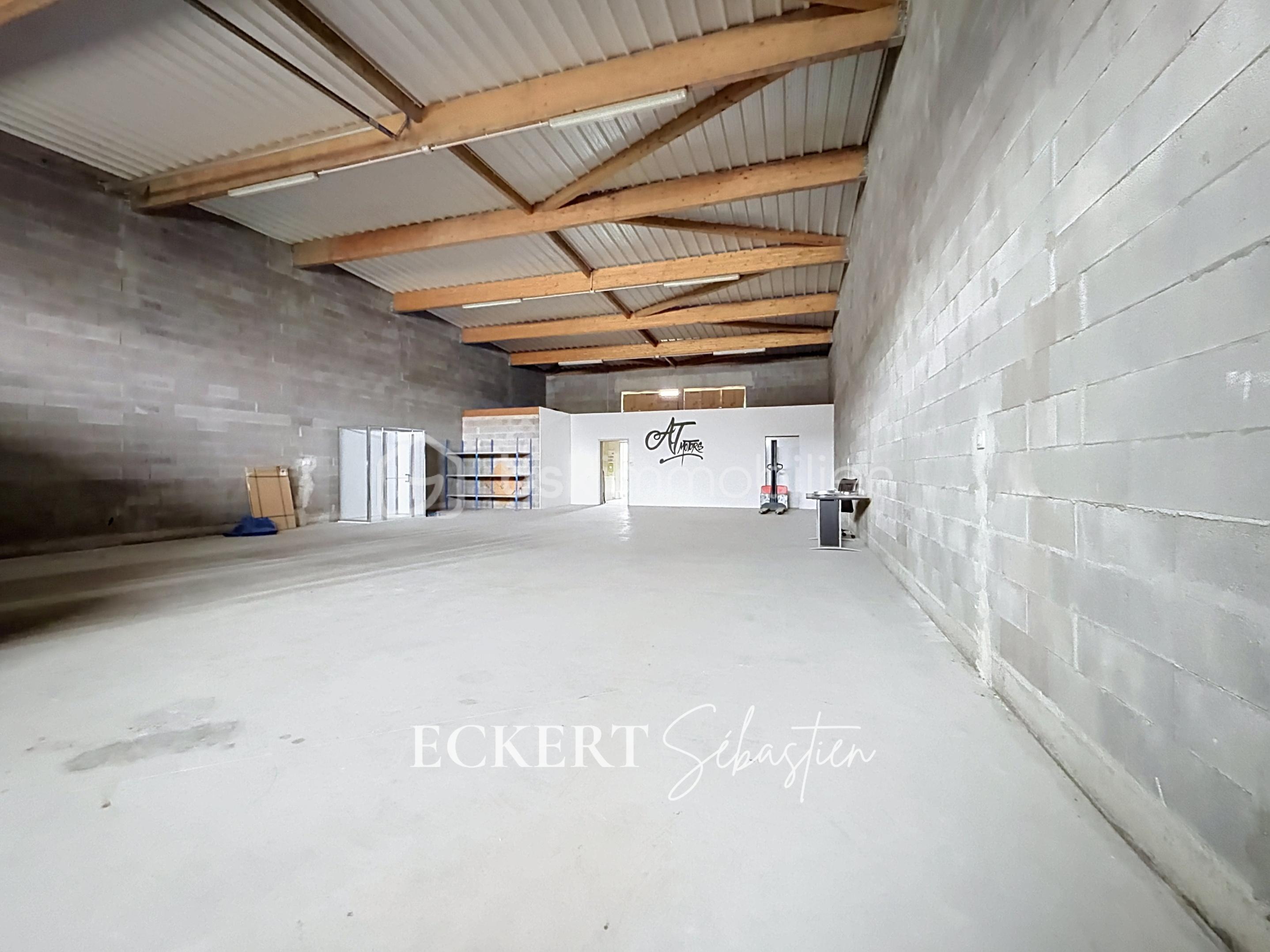 Immobilier_location_Eckert_Local_pro_Rixheim_ (10).jpg