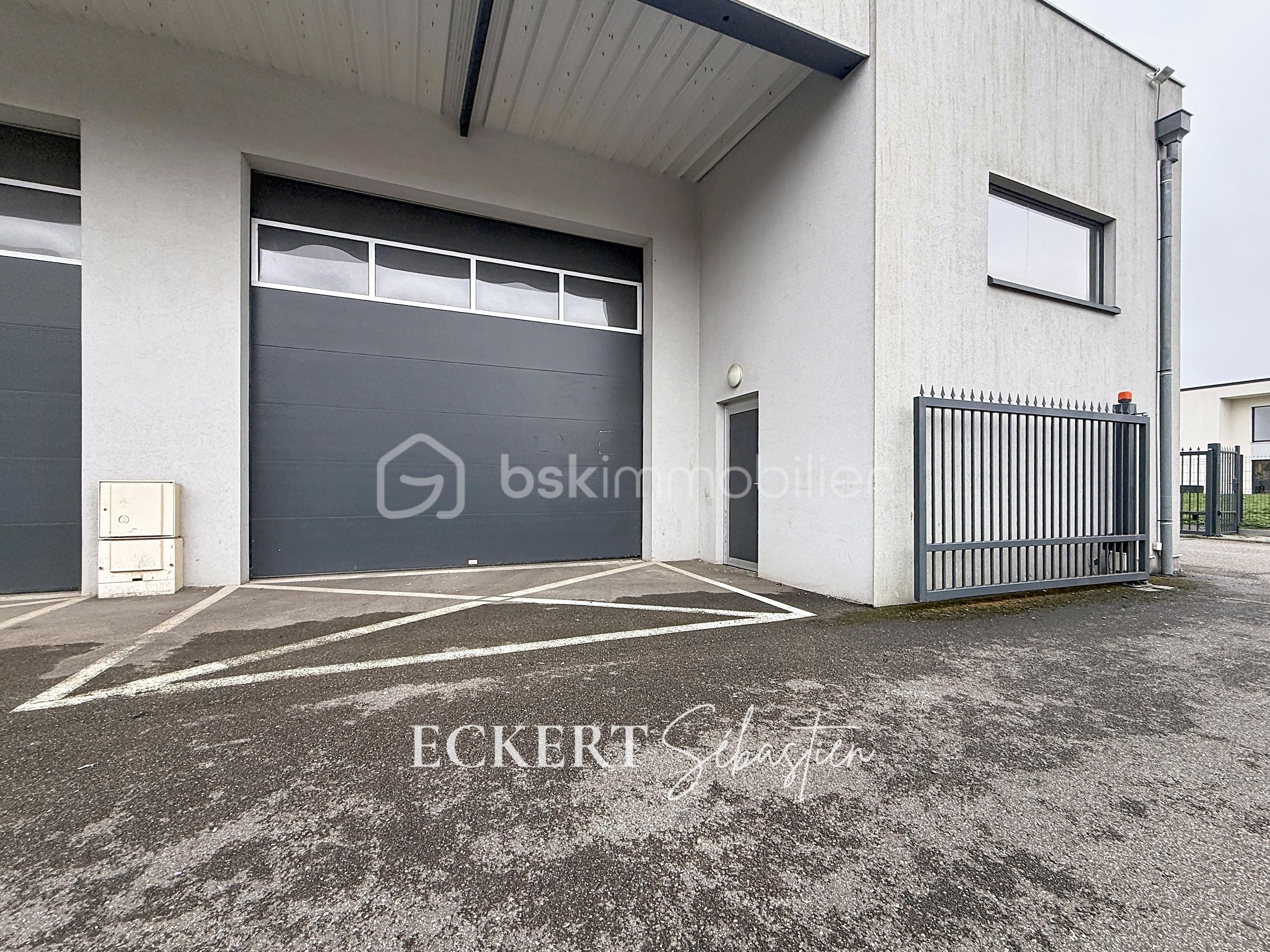 Immobilier_location_Eckert_Local_pro_Rixheim_ (13).jpg