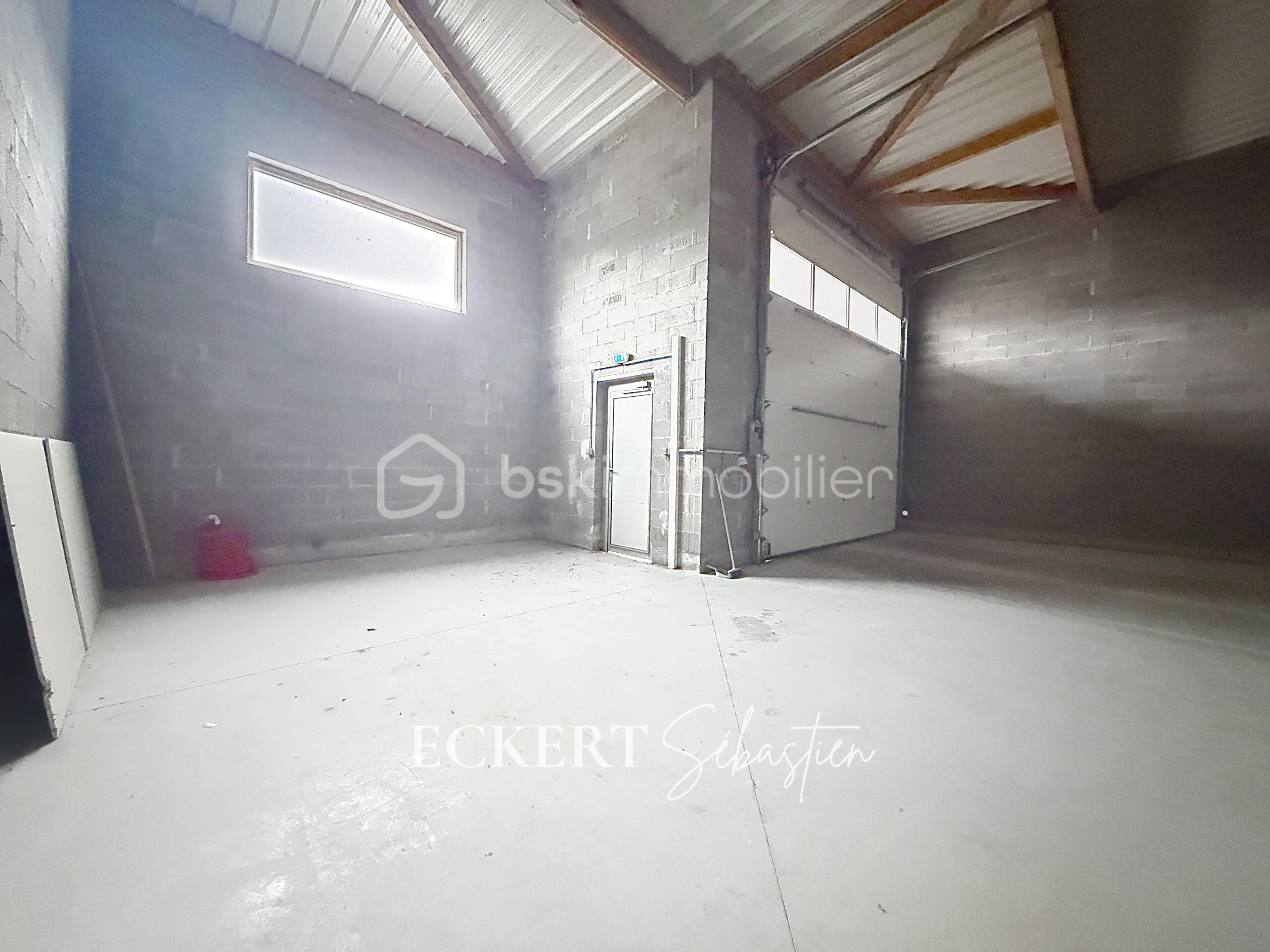 Immobilier_location_Eckert_Local_pro_Rixheim_ (12).jpg