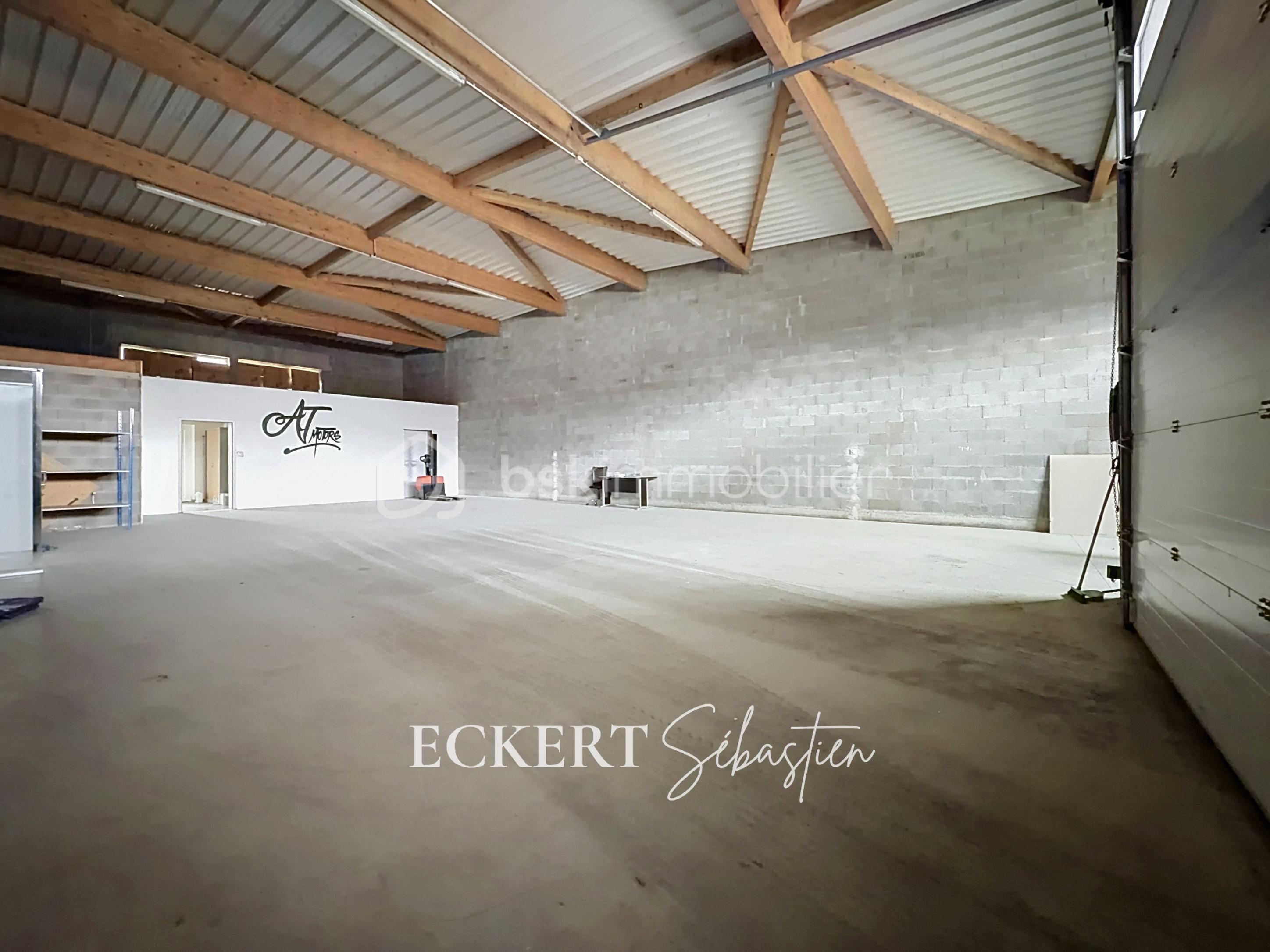 Immobilier_location_Eckert_Local_pro_Rixheim_ (11).jpg