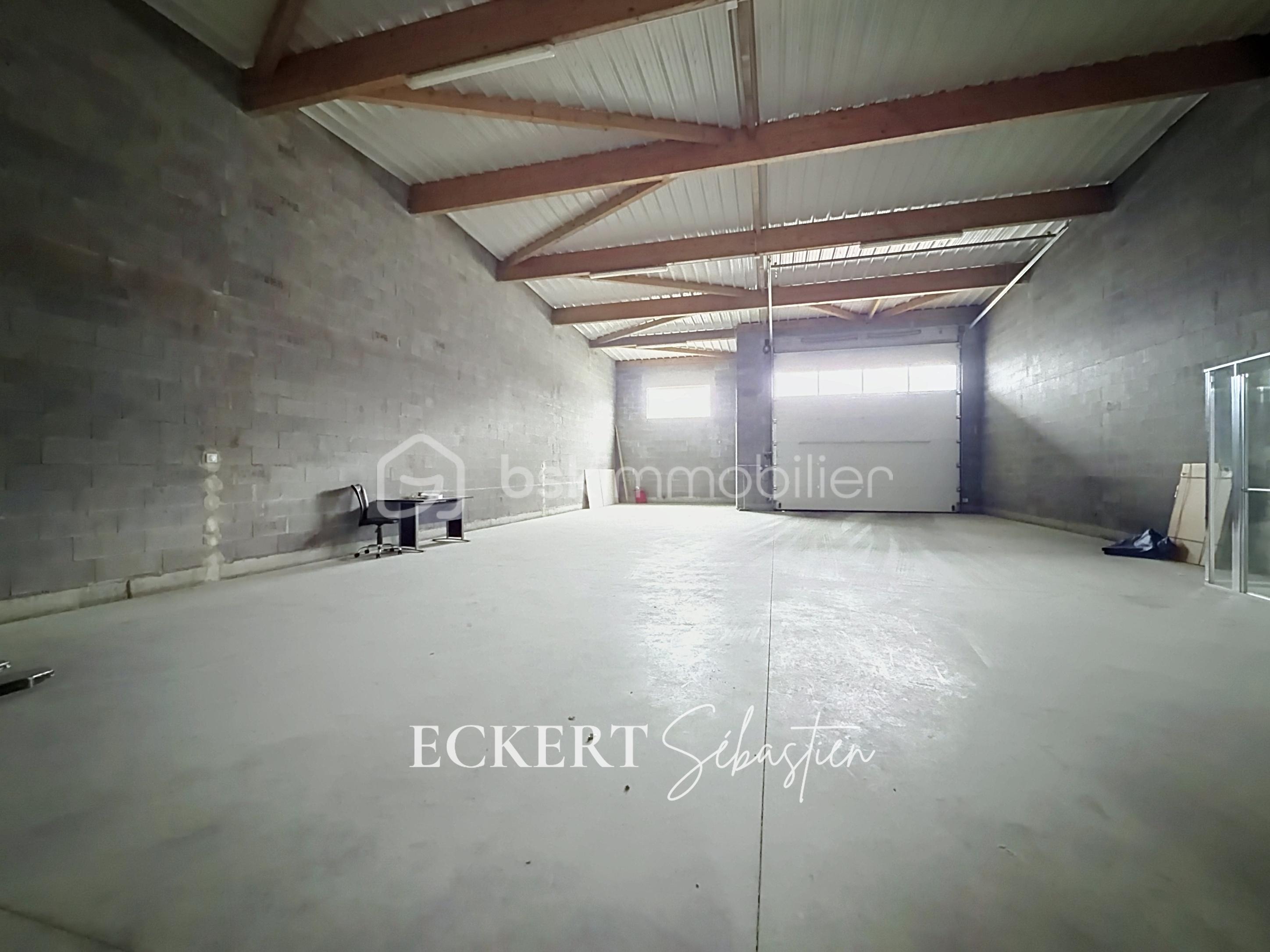 Immobilier_location_Eckert_Local_pro_Rixheim_ (9).jpg
