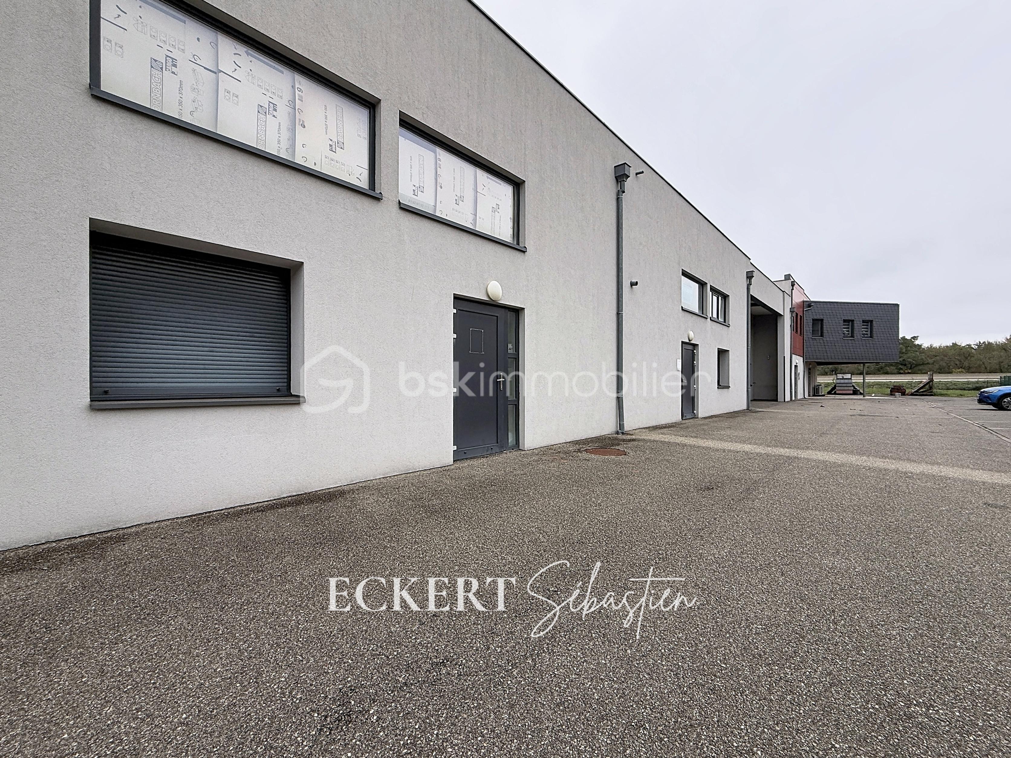 Immobilier_location_Eckert_Local_pro_Rixheim_ (17).jpg