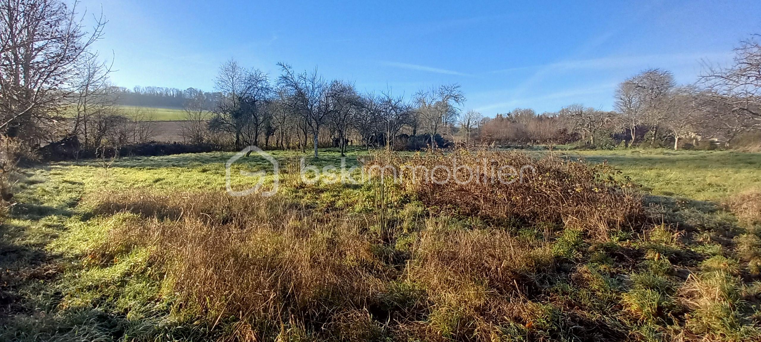 Terrain de 1 640 m² - 20251127_102907.jpg