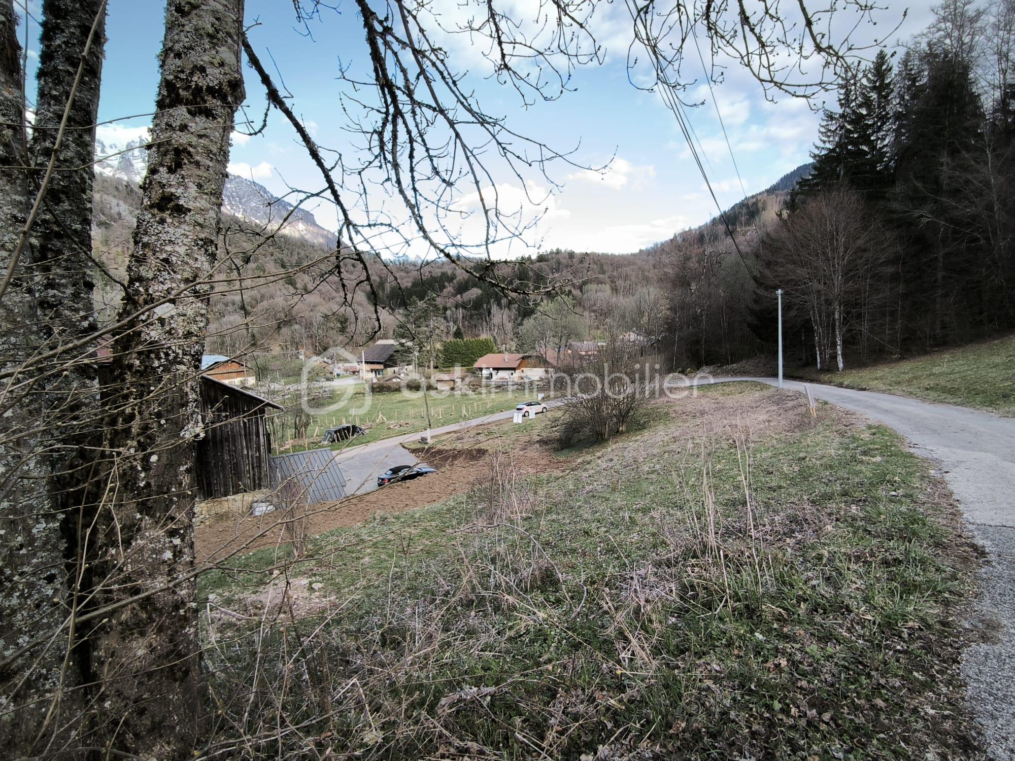 WhatsApp Image 2026-04-07 at 08.33.01.jpeg