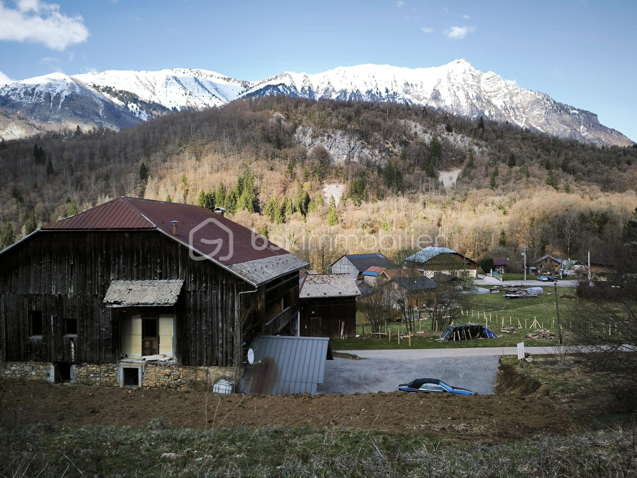 WhatsApp Image 2026-04-07 at 08.33.00.jpeg