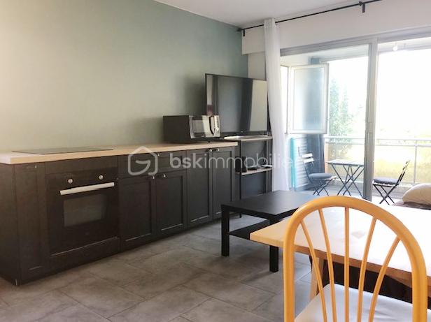 Appartement de 36,51 m² - IMG_0003.jpg