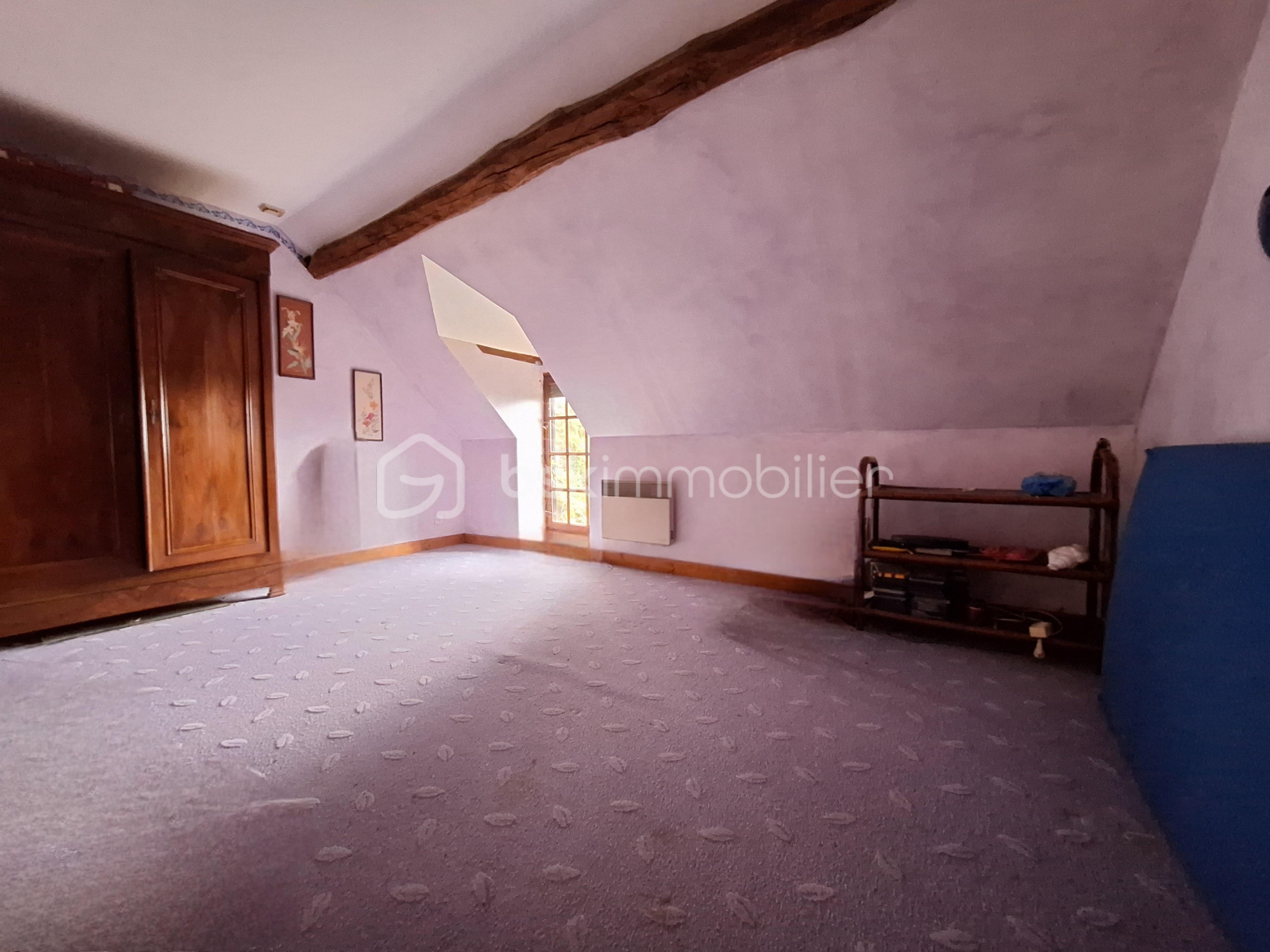 Corps de ferme de 197 m² - ph neuvy15.jpg