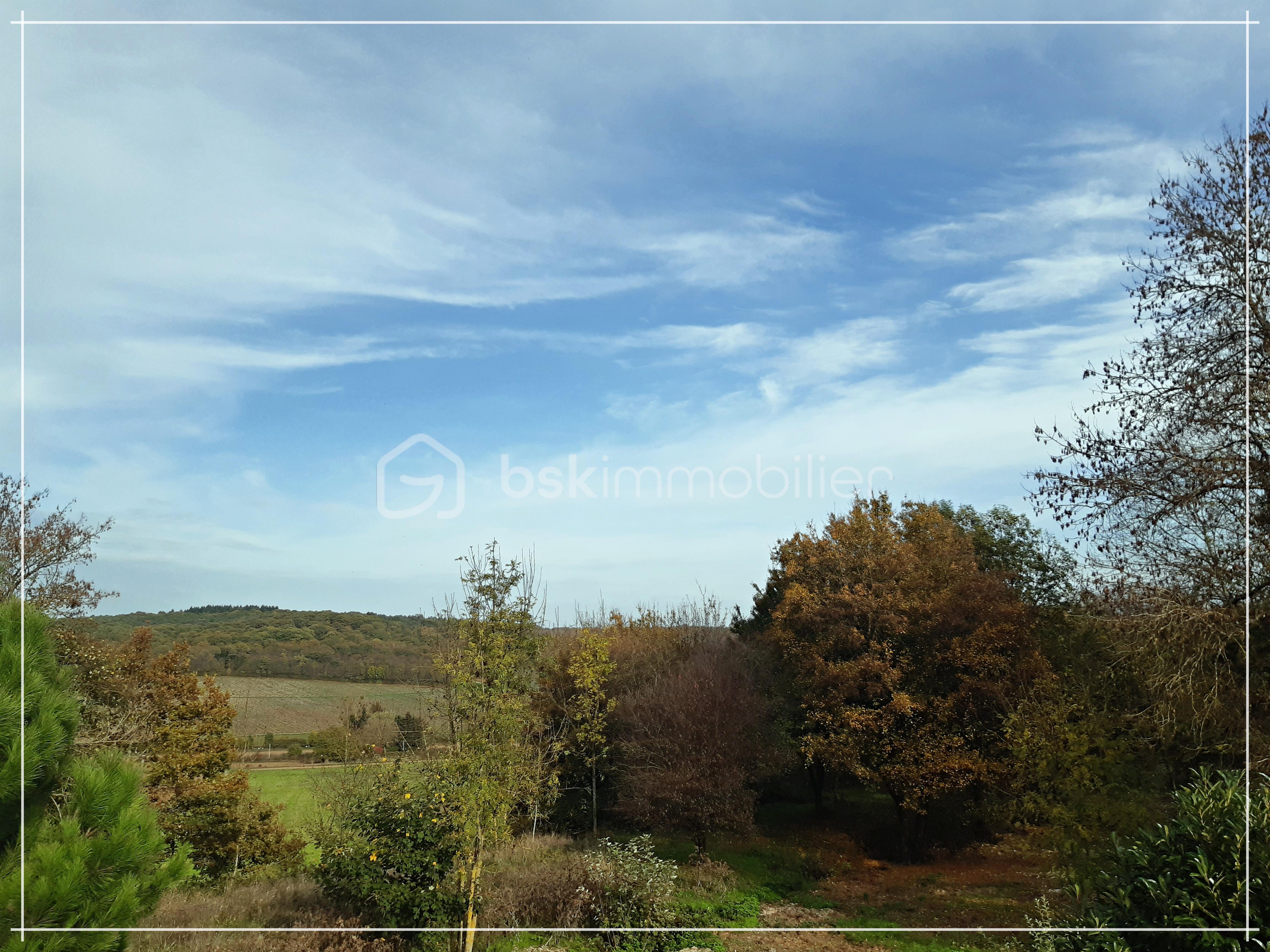 modif MG_20260318_084504.jpg