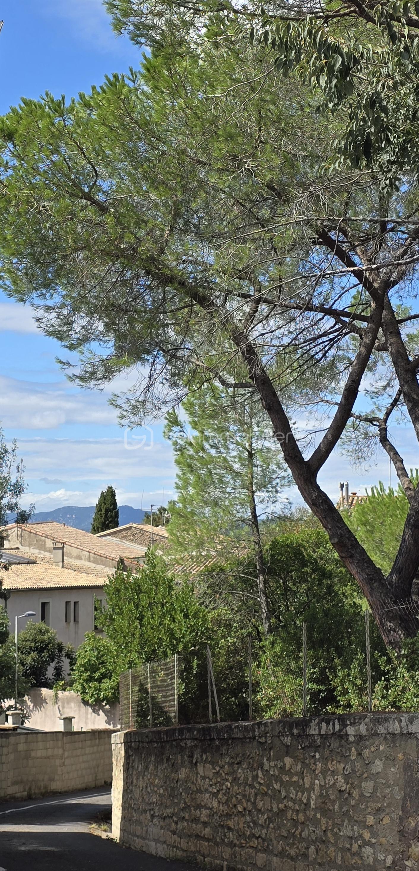 Maison de village de 132 m² - 20250901_150232.jpg