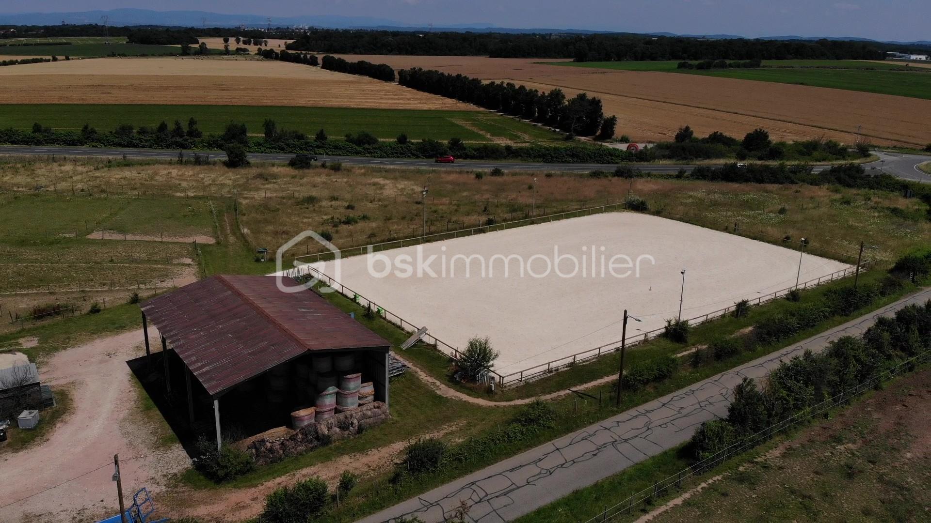 DJI_0120 - frame at 1m24s.jpg