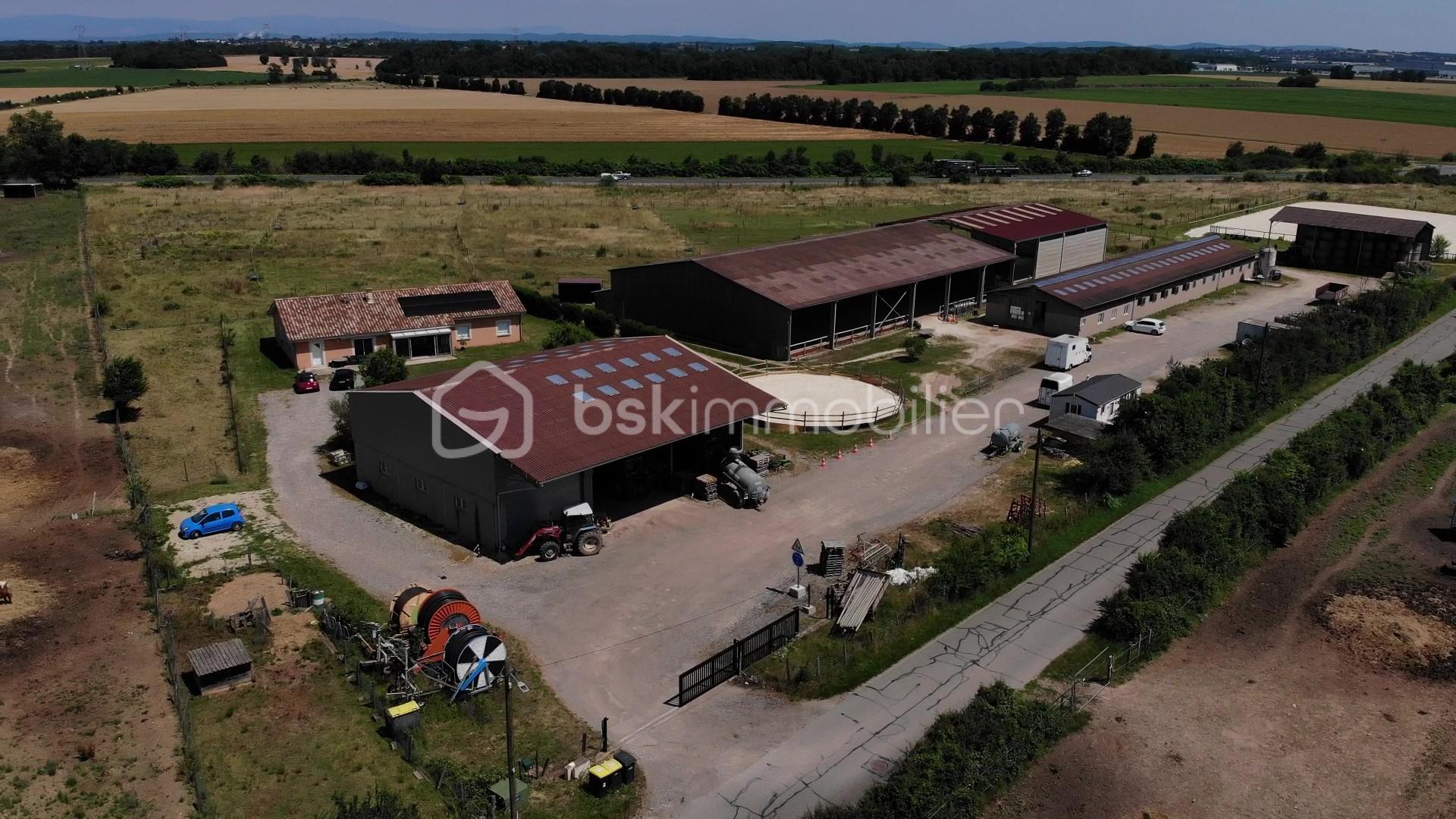 DJI_0120 - frame at 1m59s.jpg