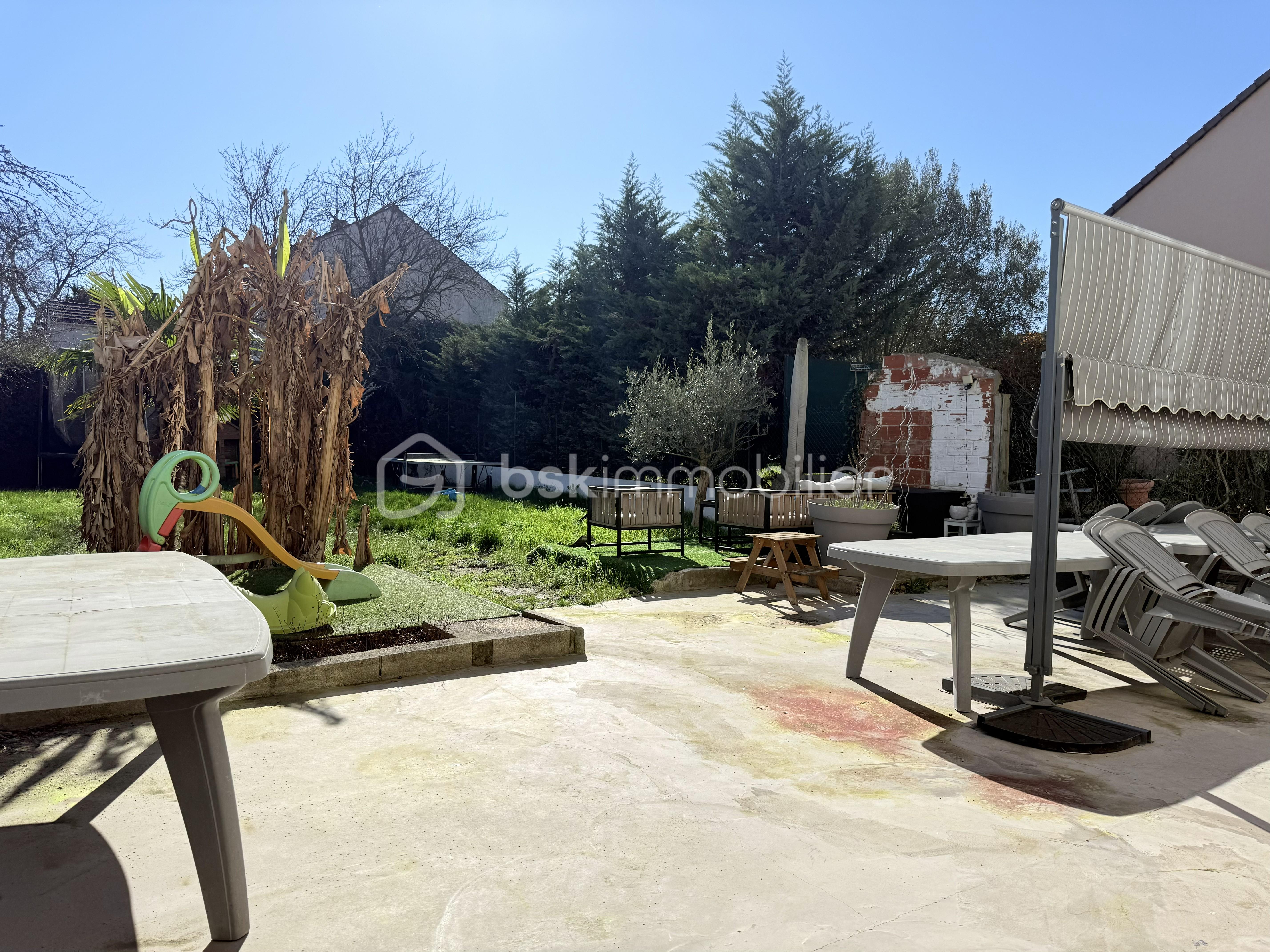 IMG_2041.jpg