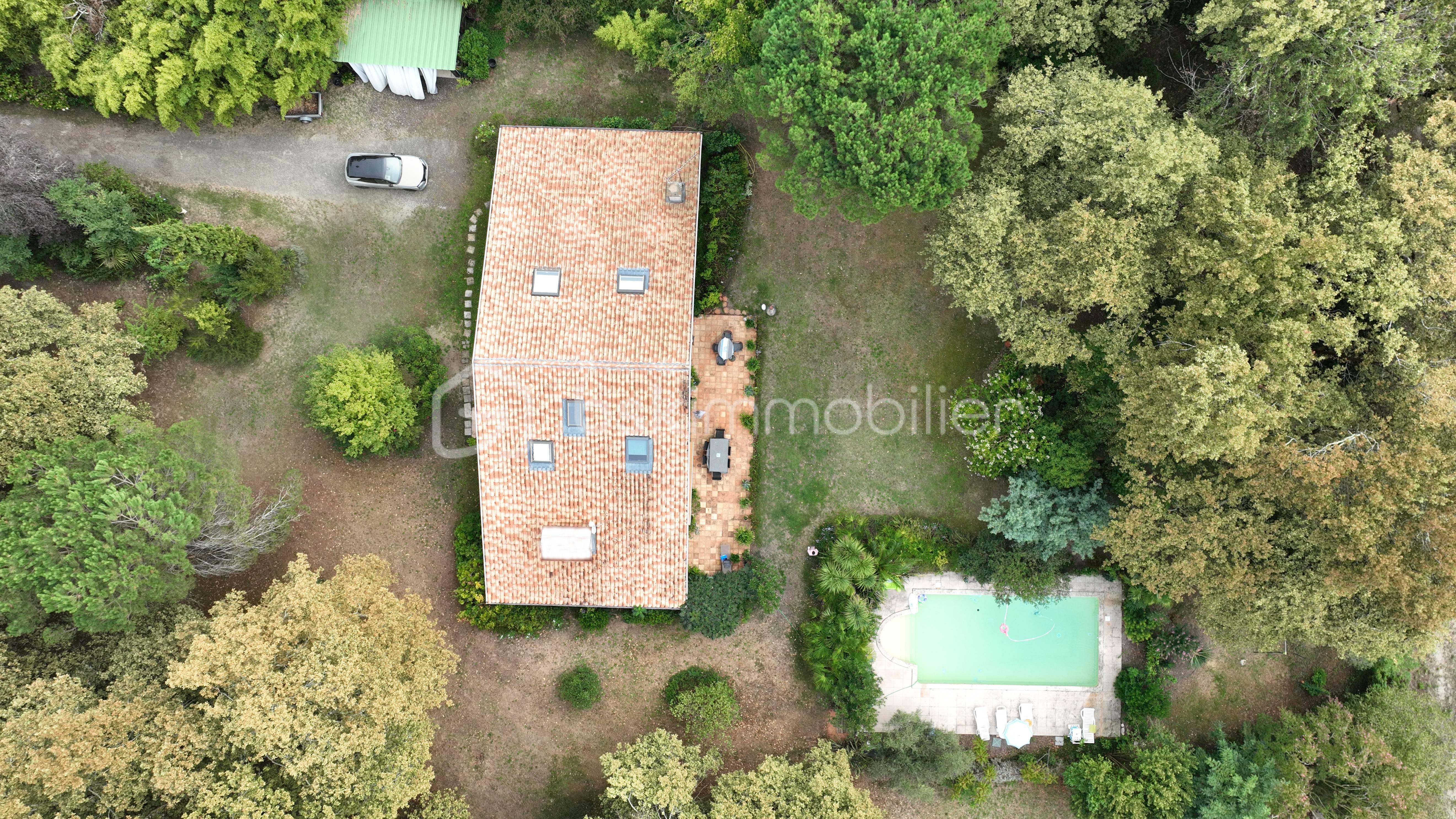 DJI_0257.JPG
