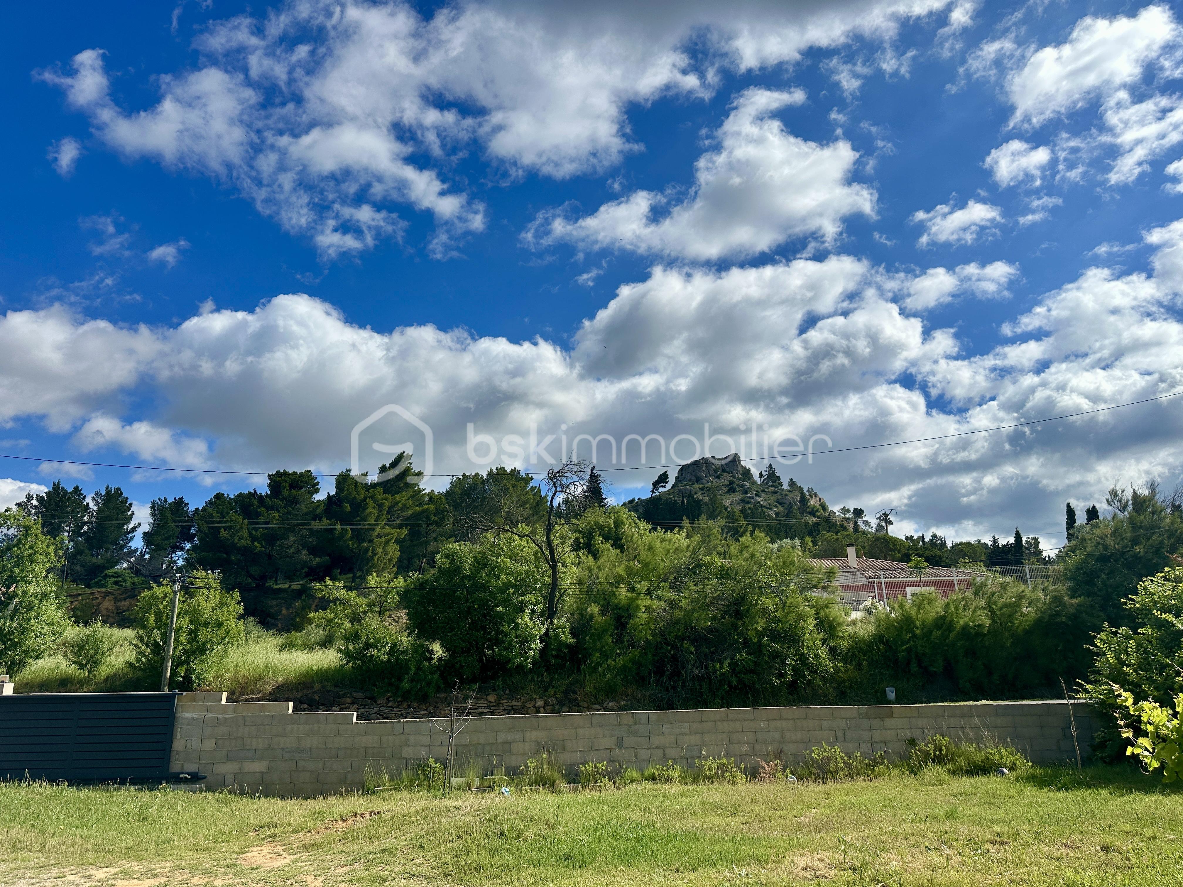 IMG_9471.jpeg