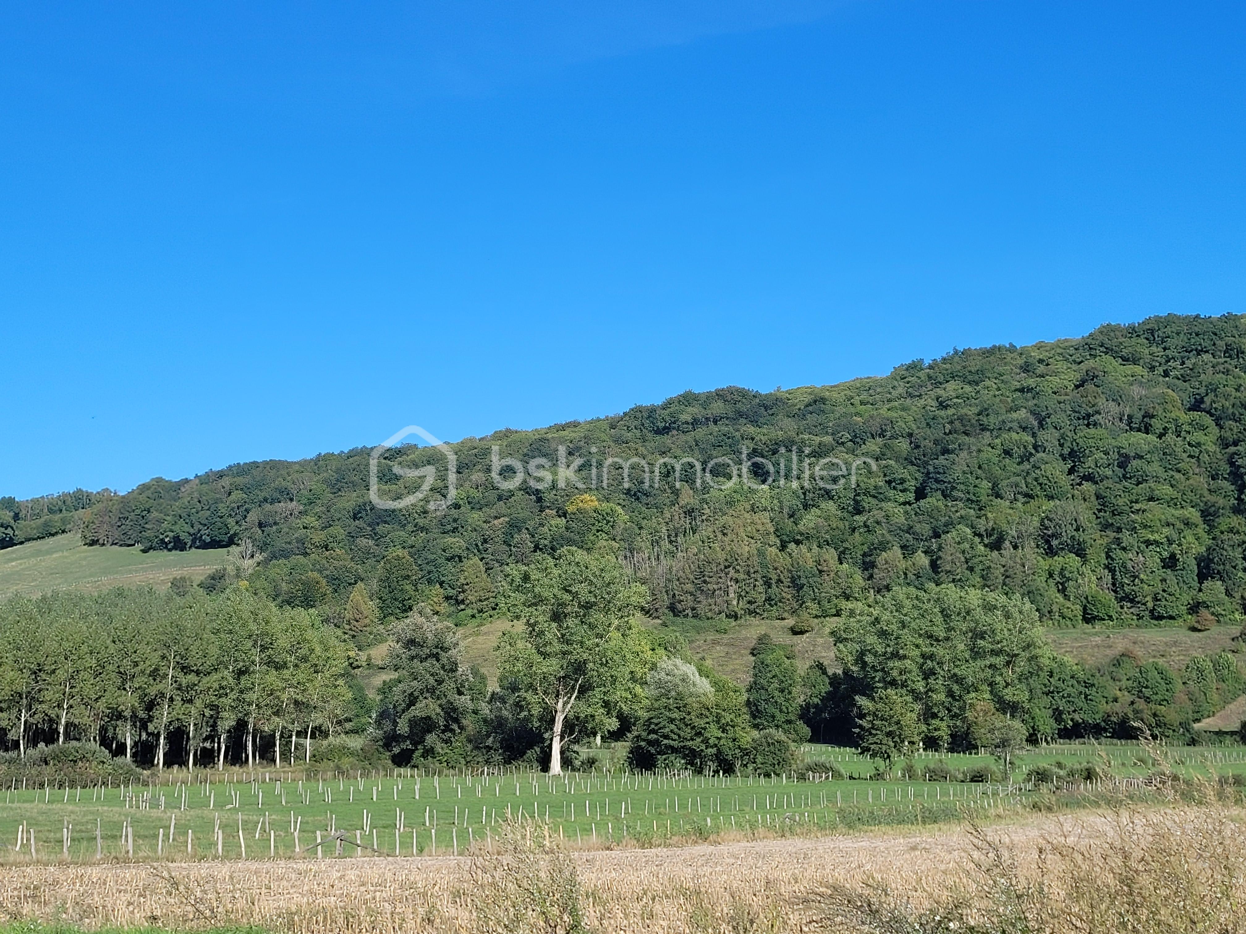 Maison de 141 m² - 20220912_171120.jpg