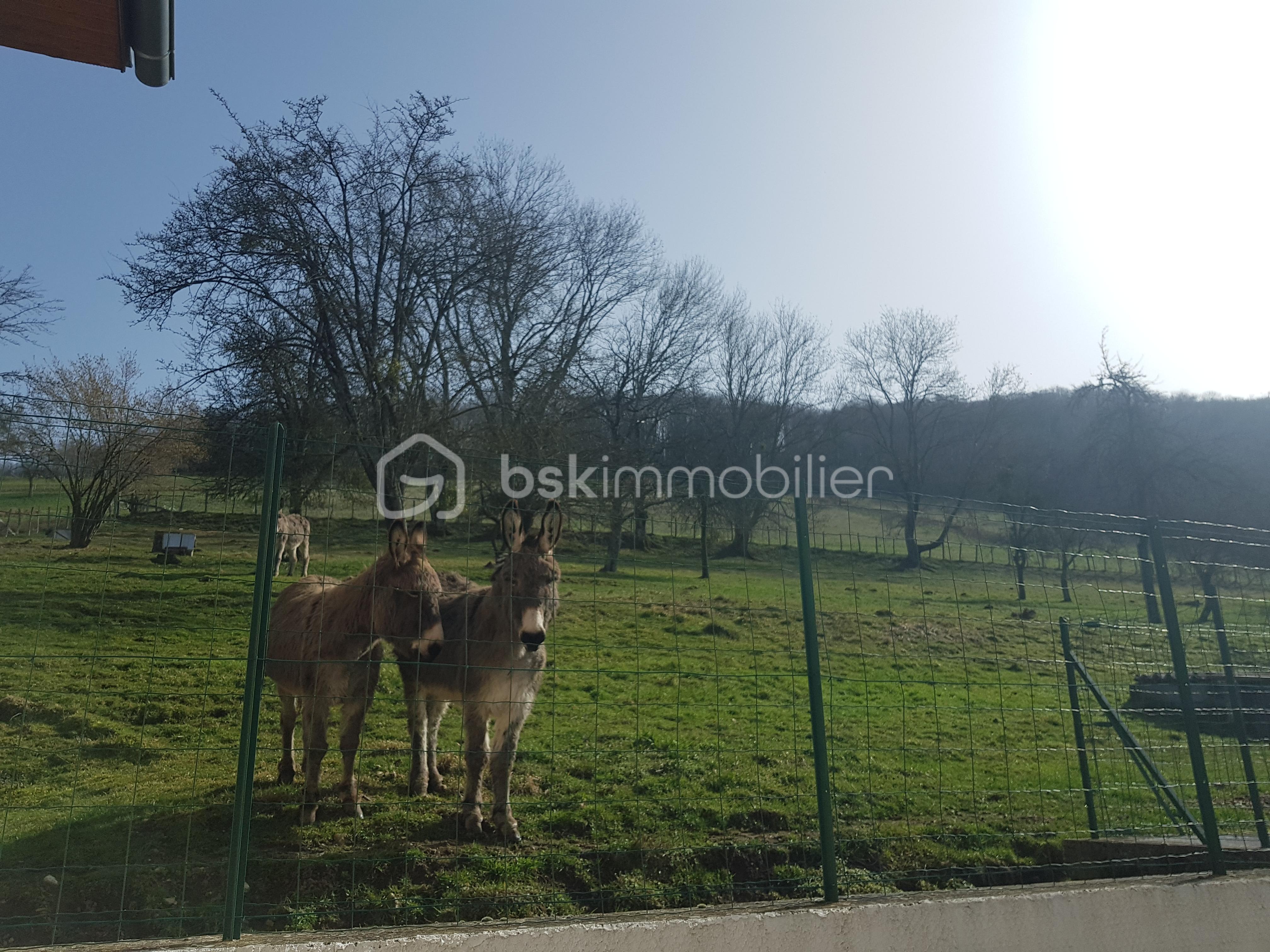 Maison de 141 m² - 20210223_121020.jpg