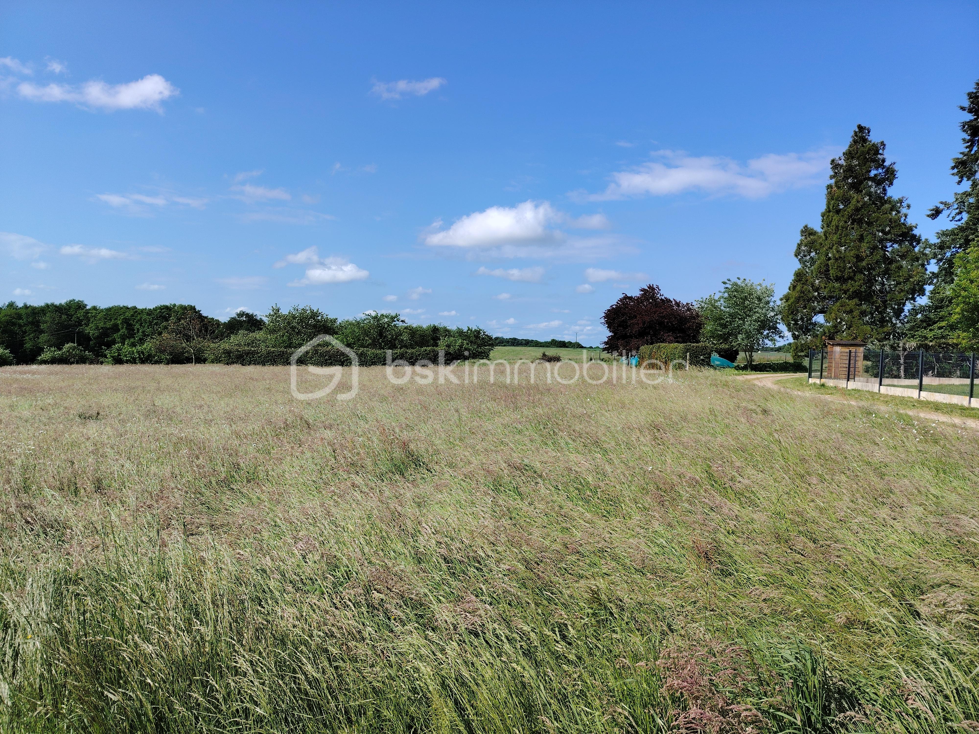 Terrain de 757 m² - IMG_20250505_105550.jpg