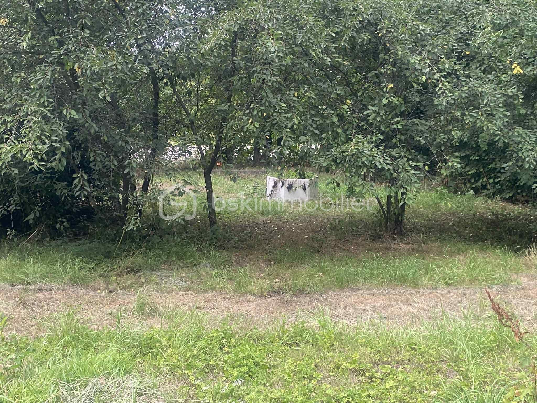 1a1911c0-7a22-4afc-895b-11652a29d3f4.jfif