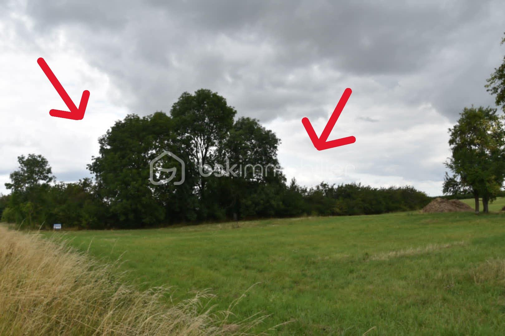 Terrain de 1 704 m² - 6.jpg