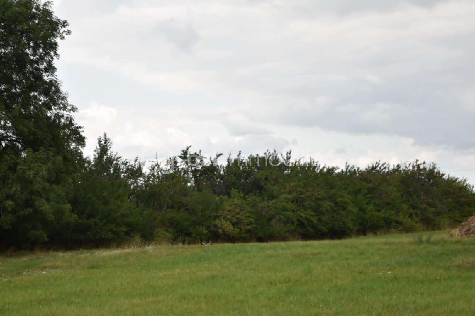 Terrain de 1 704 m² - 4.jpeg