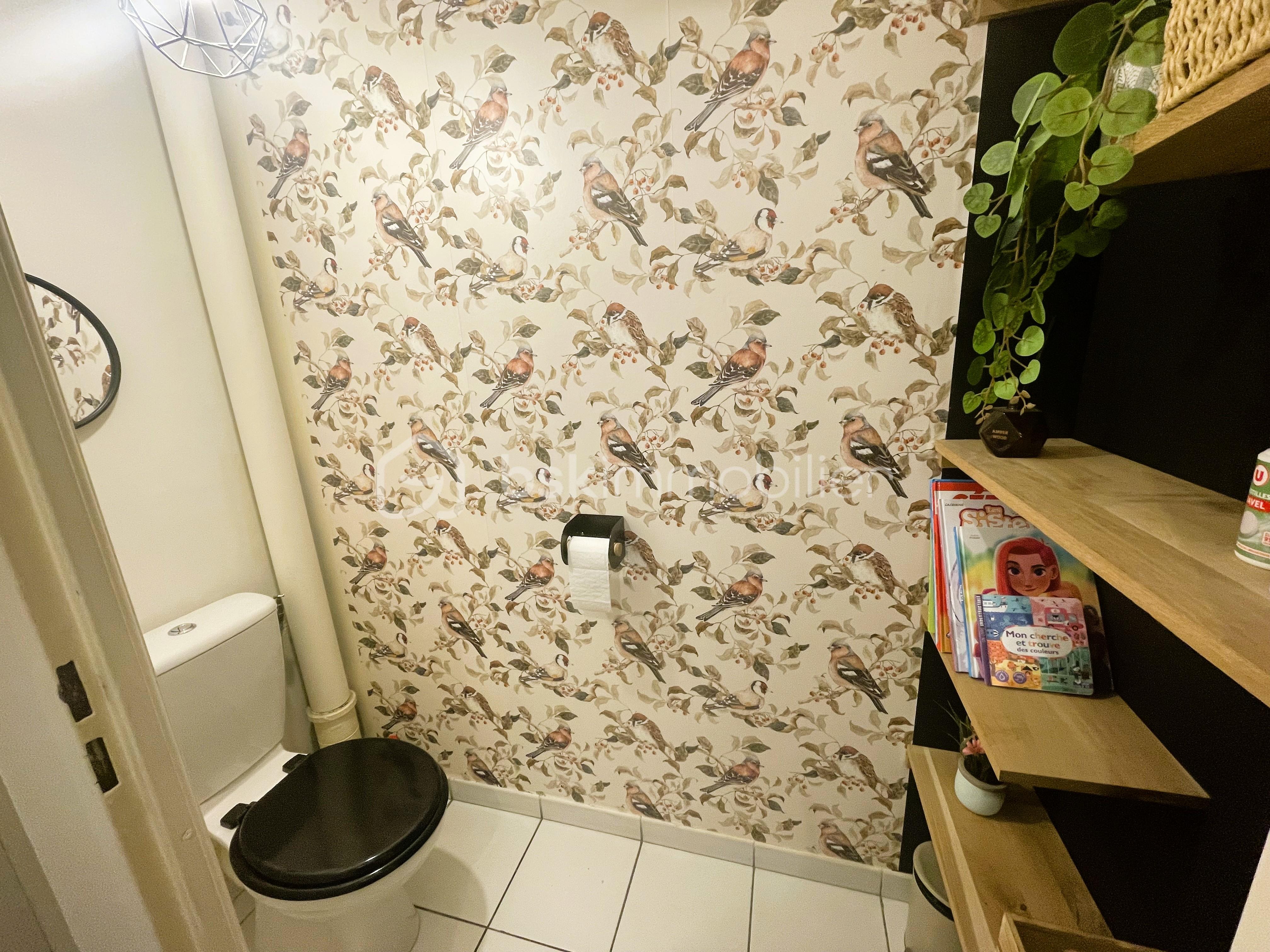Maison de 63 m² - chat-wc.jpg