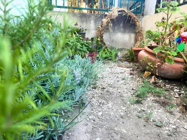 jardinet.png