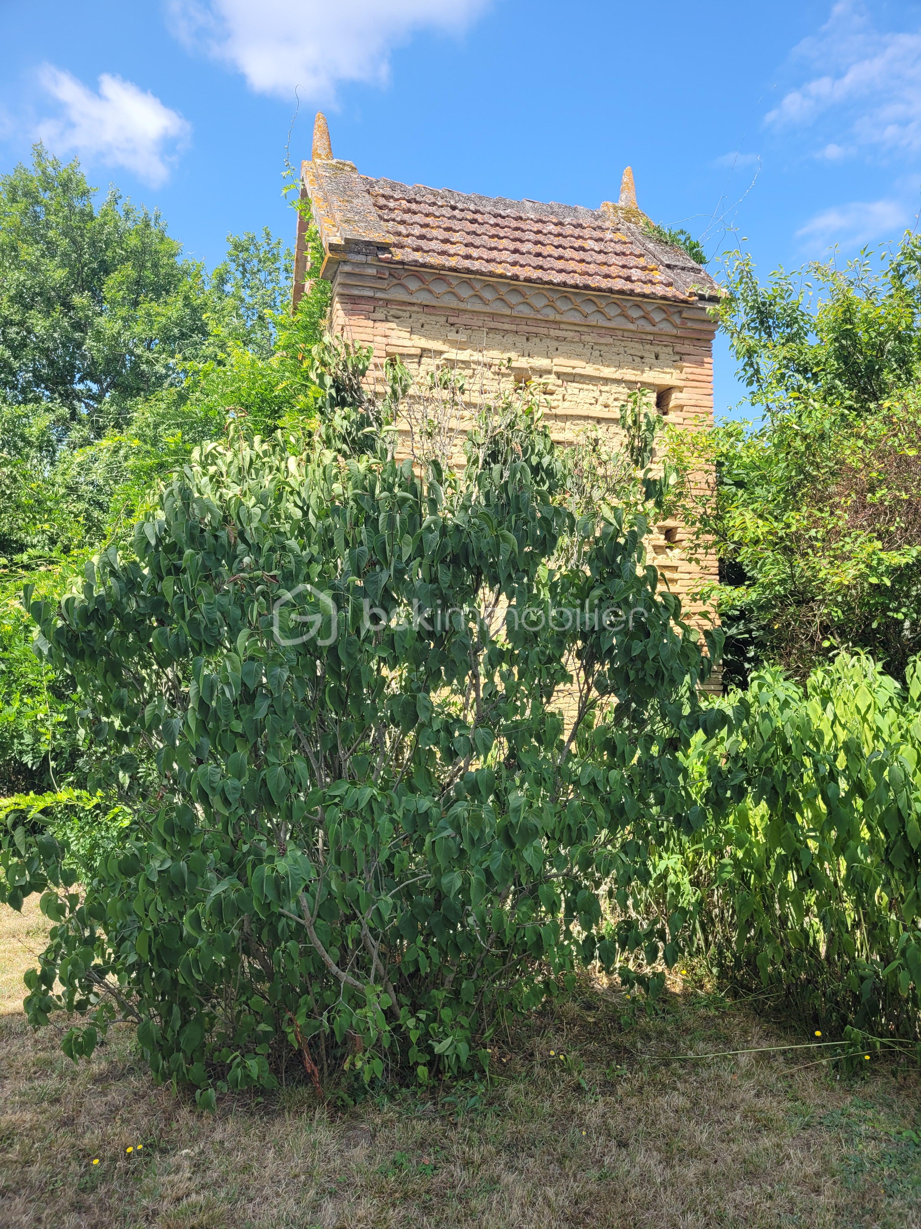 Maison de 366 m² - 20250729_120413.jpg