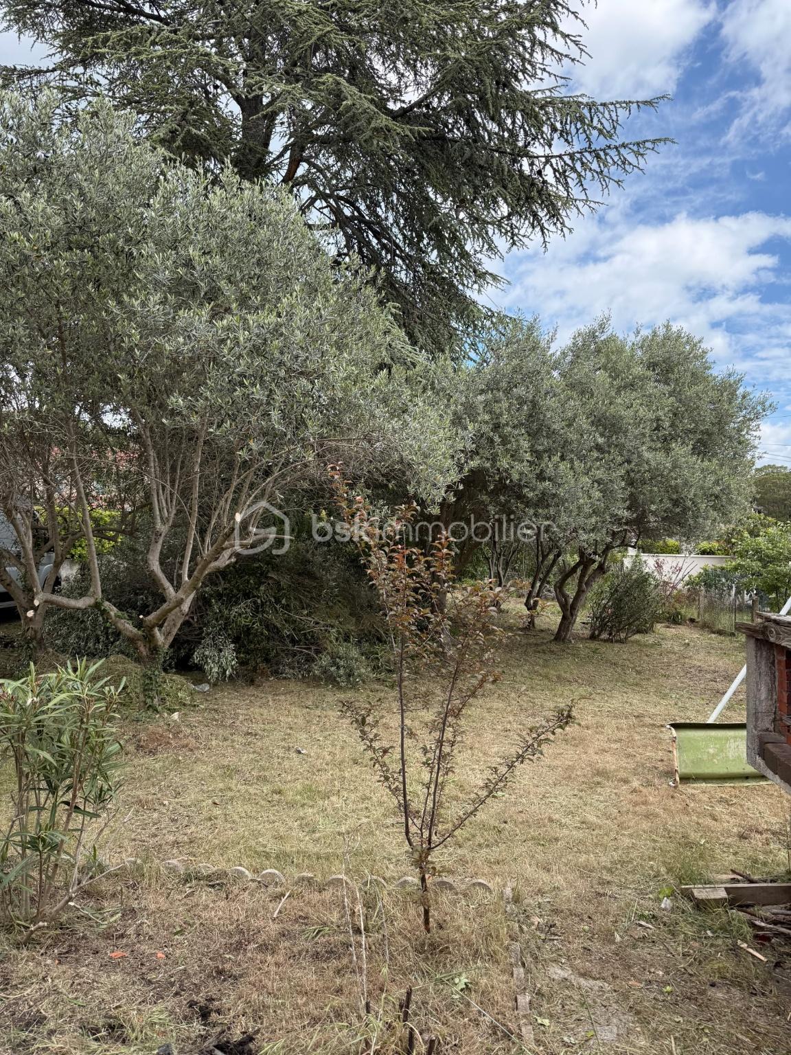 jardin.jpg
