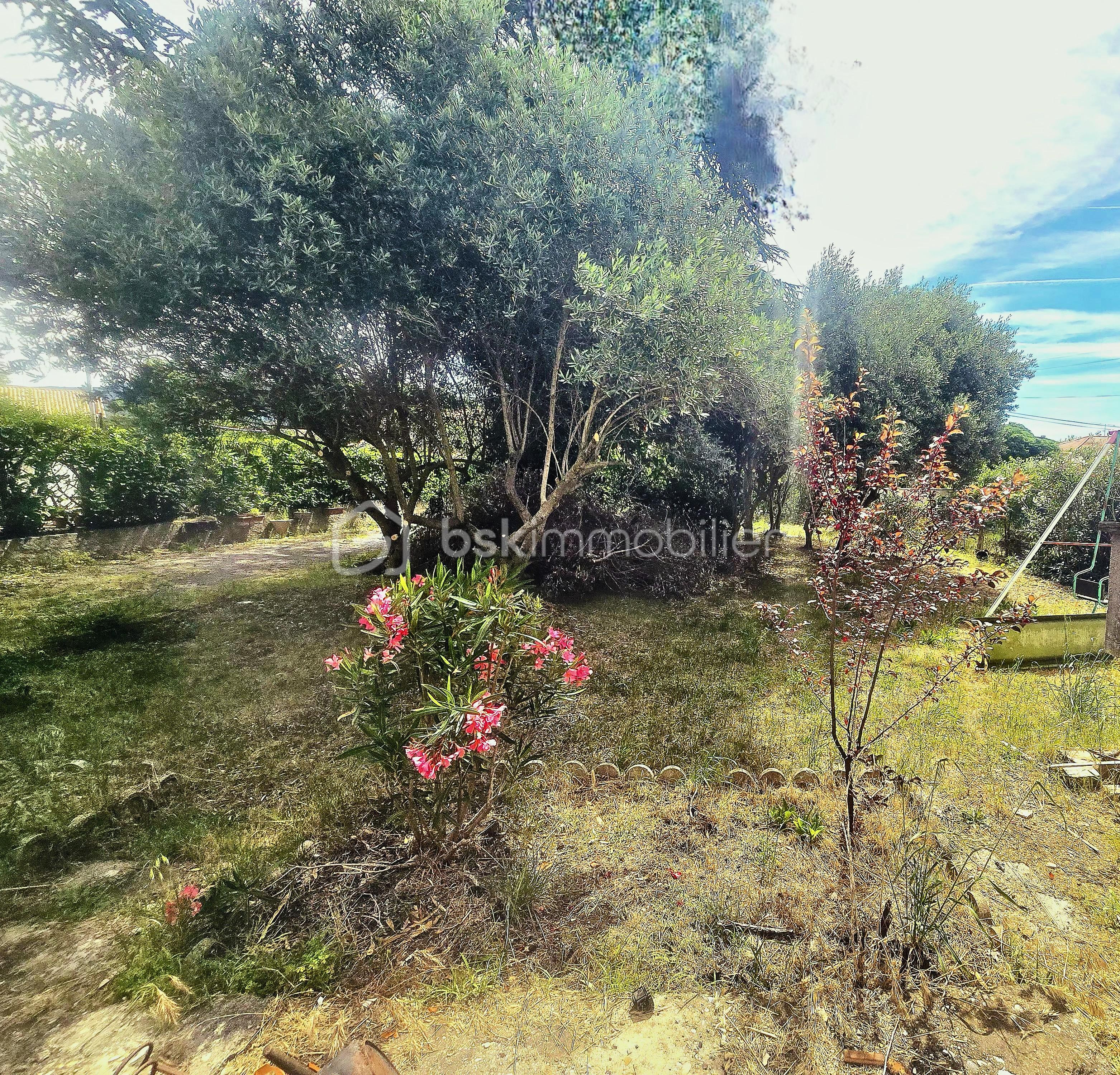 jardin.jpg