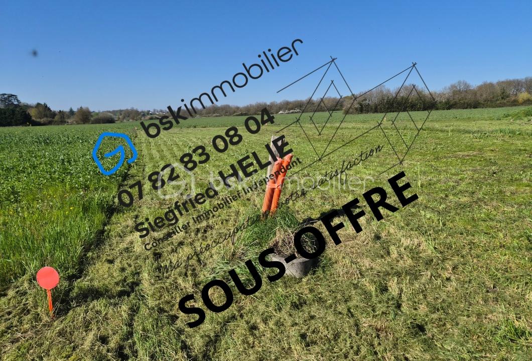 Votre texte de paragraphe.jpg