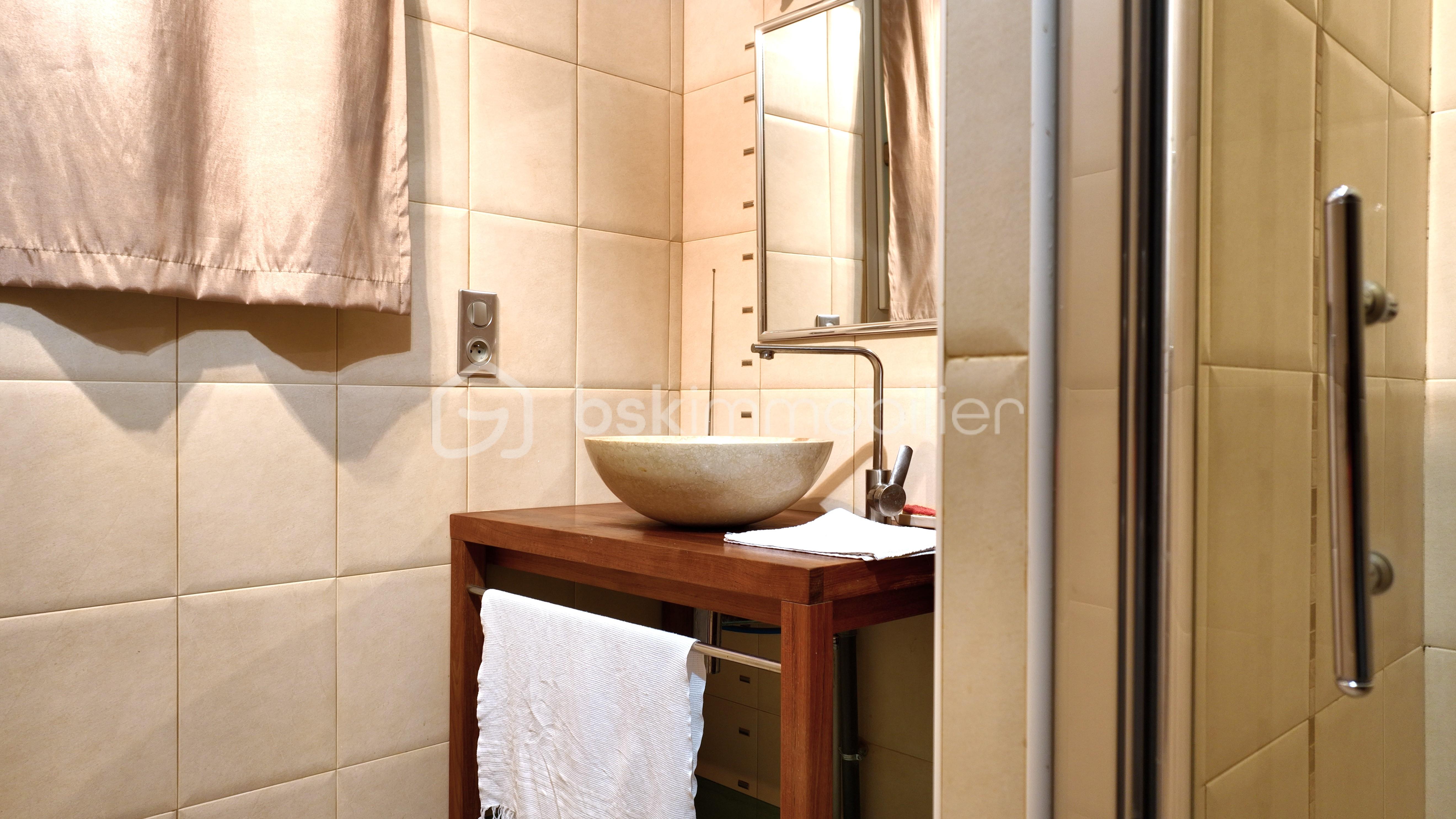 Maison de maitre de 206 m² - SALLE D'EAU BAS 1.jpg