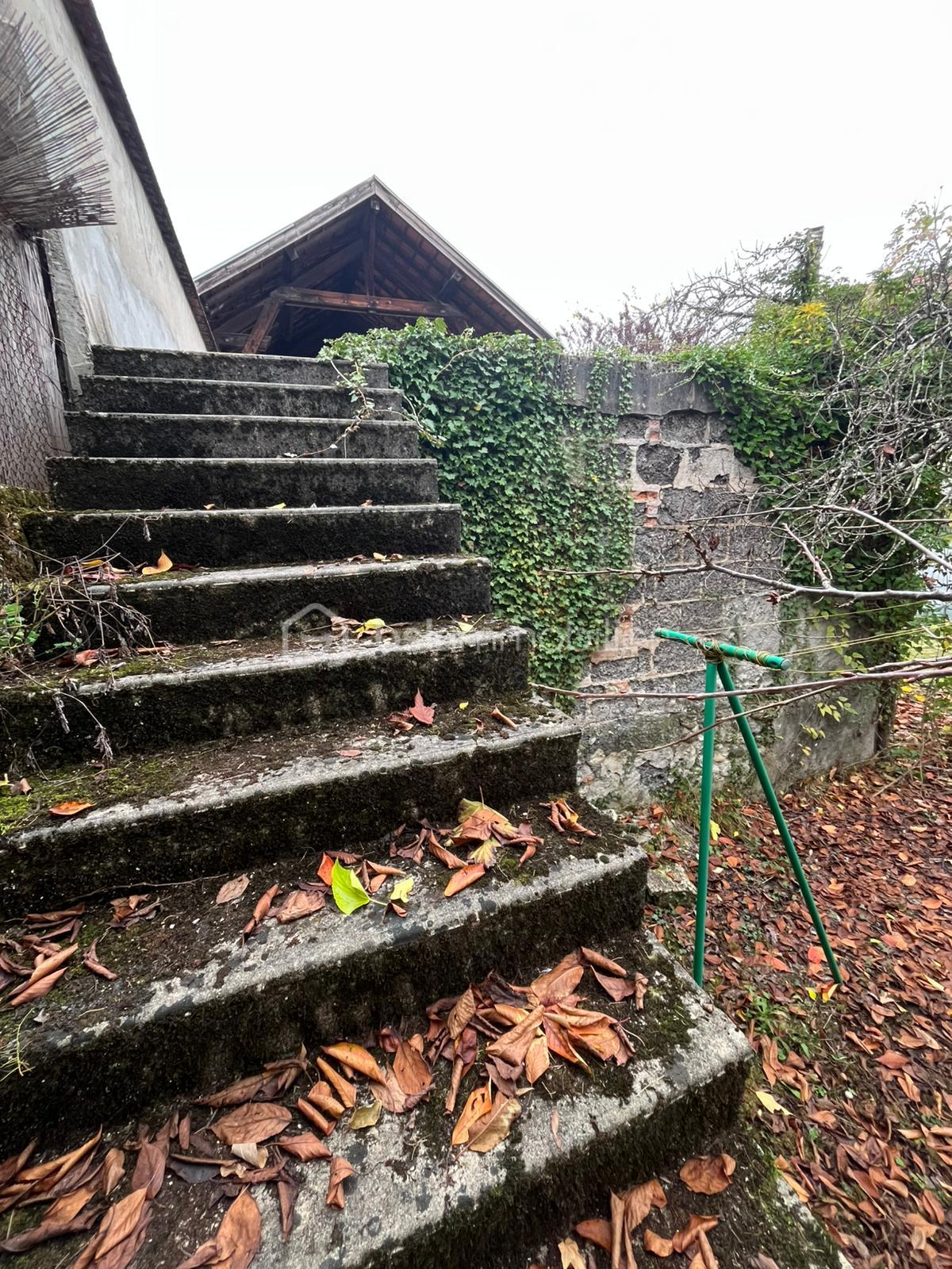 Maison de 55 m² - WhatsApp Image 2025-11-14 at 14.32.01.jpeg