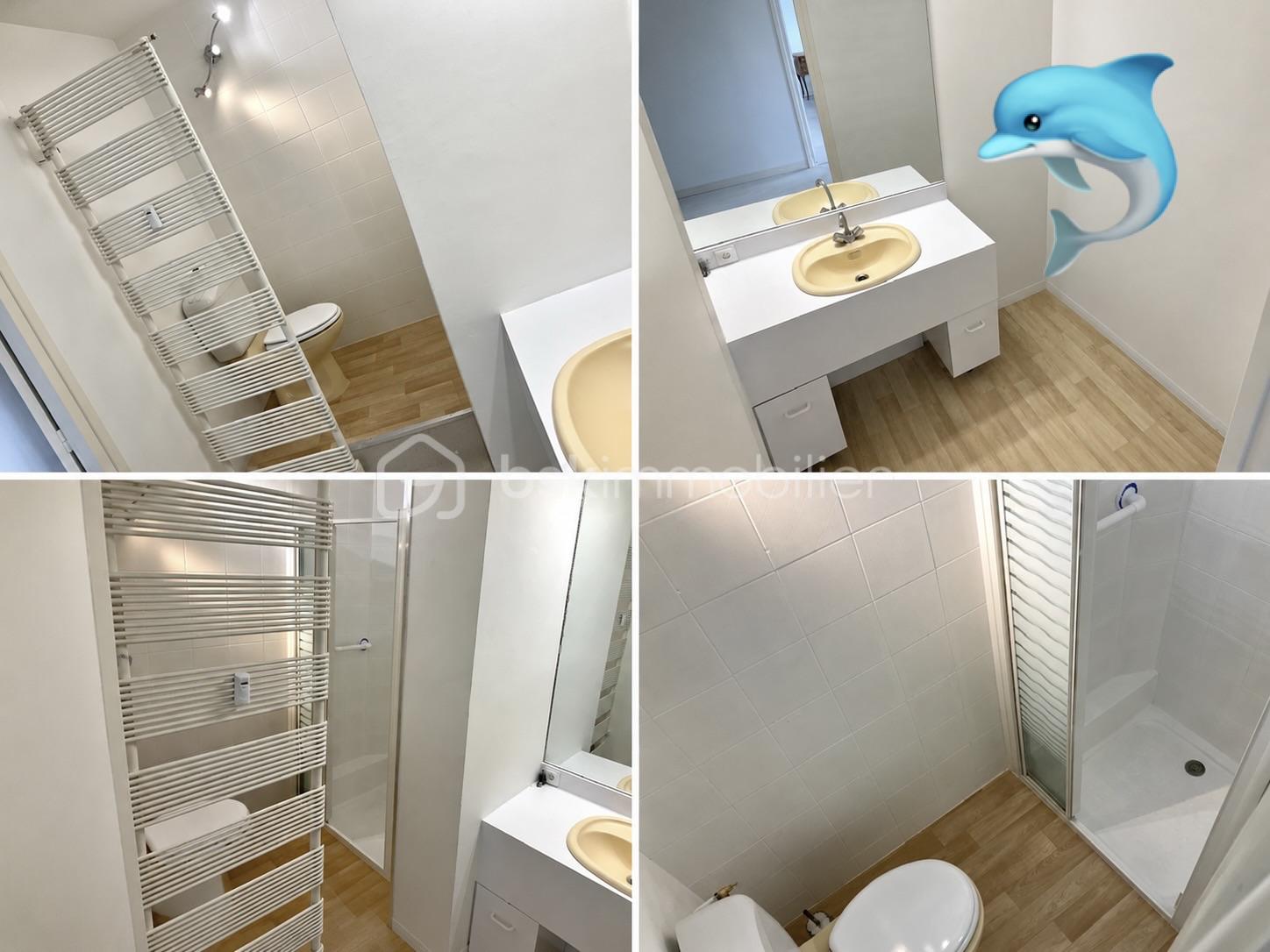 louchez amalgame salle d'eau NEW BON.jpeg