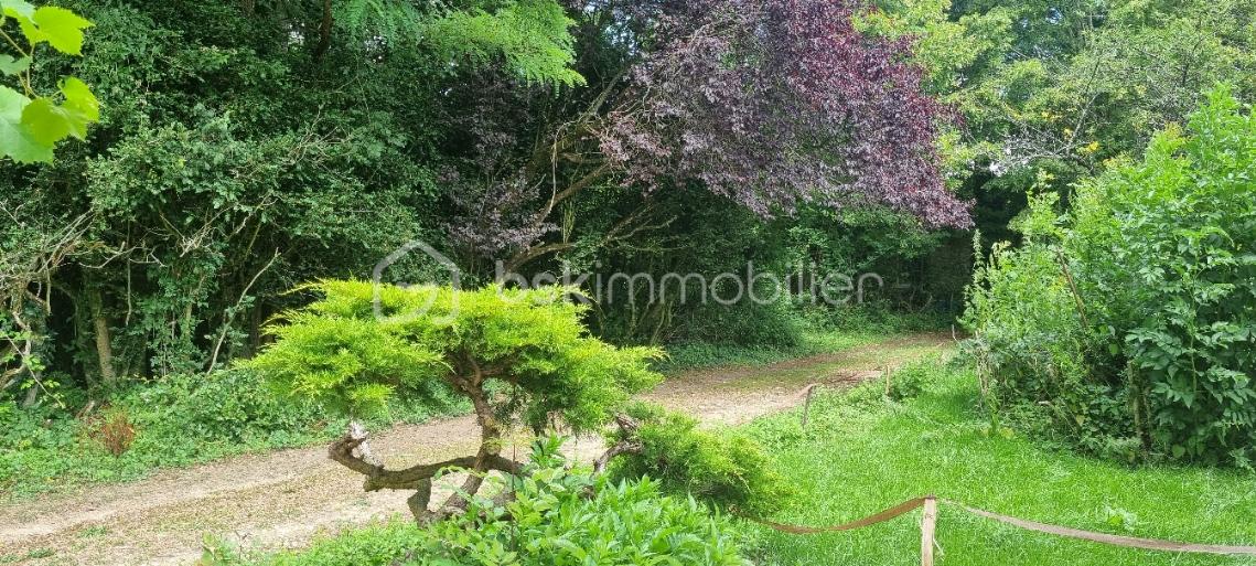 Maison de 203 m² - 20230705_143949.jpg