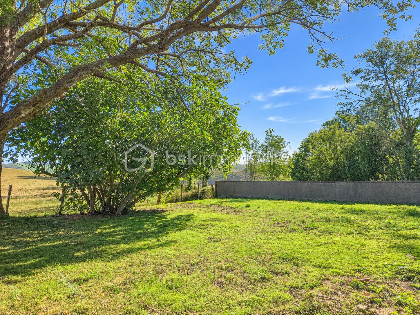 Jardin ensoleillé sous un ciel bleu.png