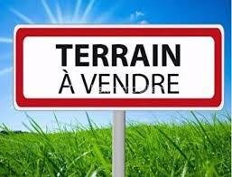 TERRAIN A VENDRE 4.jpg