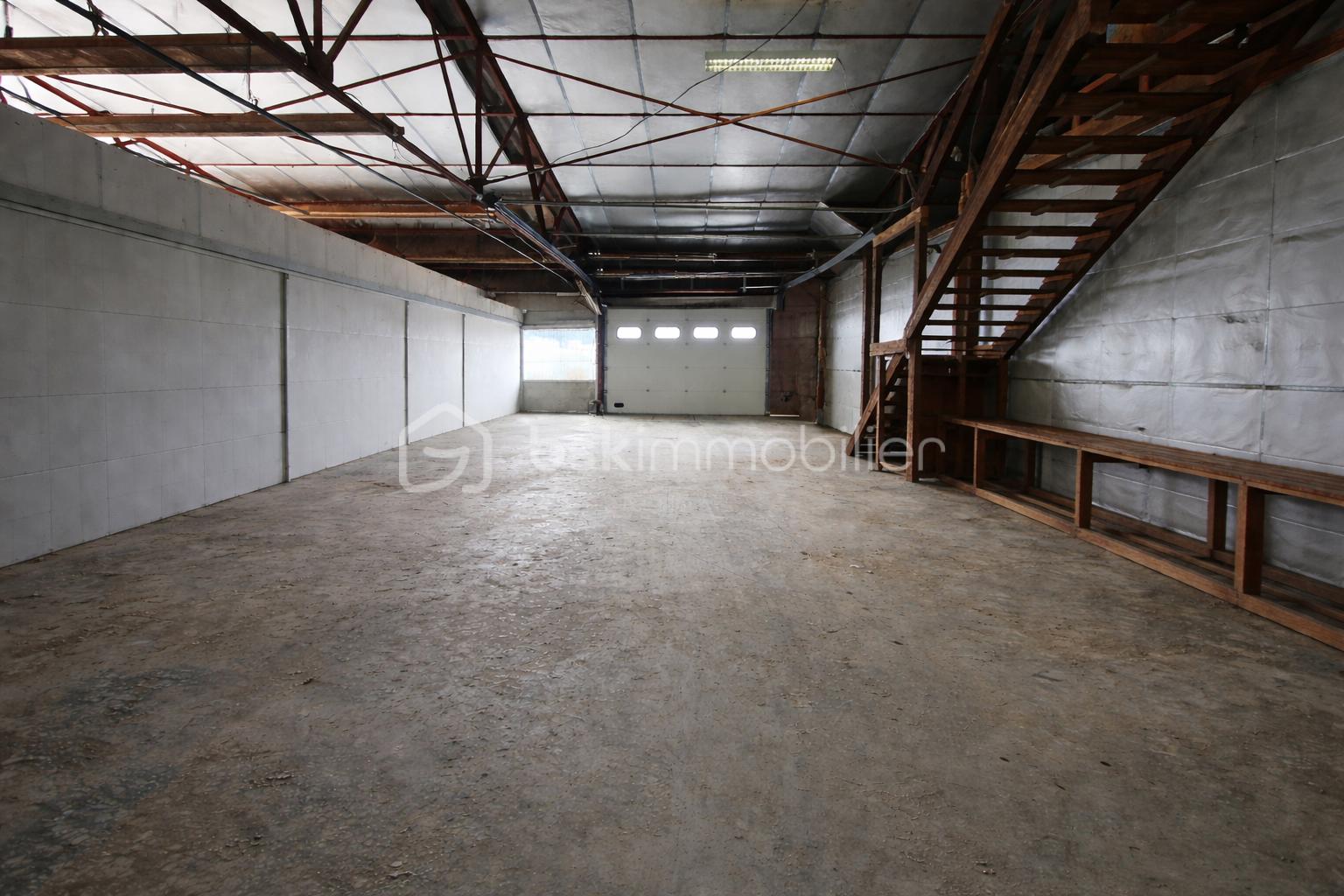 ChatGPT Image 7 mars 2026, 06_37_30.png