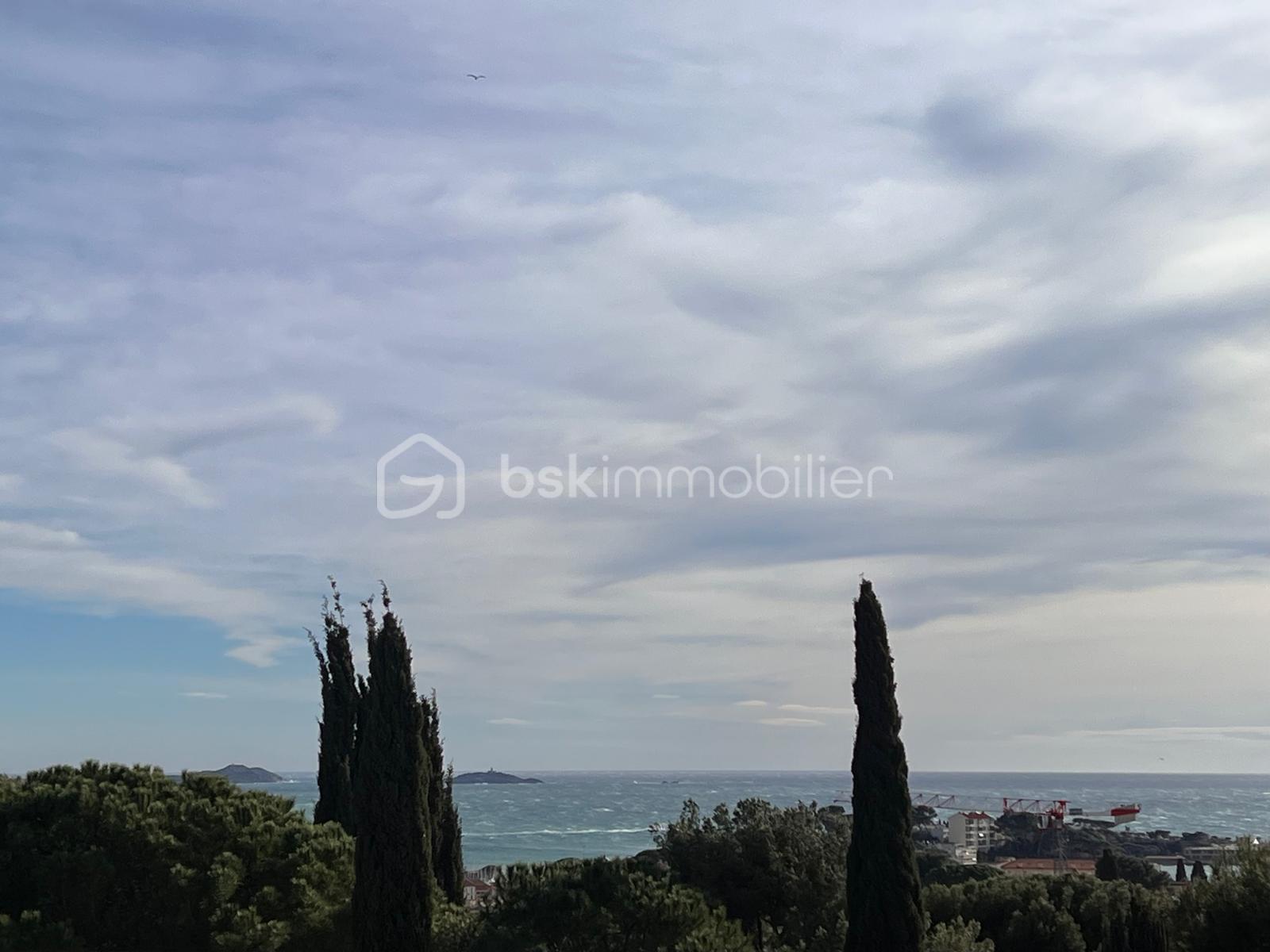 PHOTO-2026-02-15-18-43-08 (1).jpg