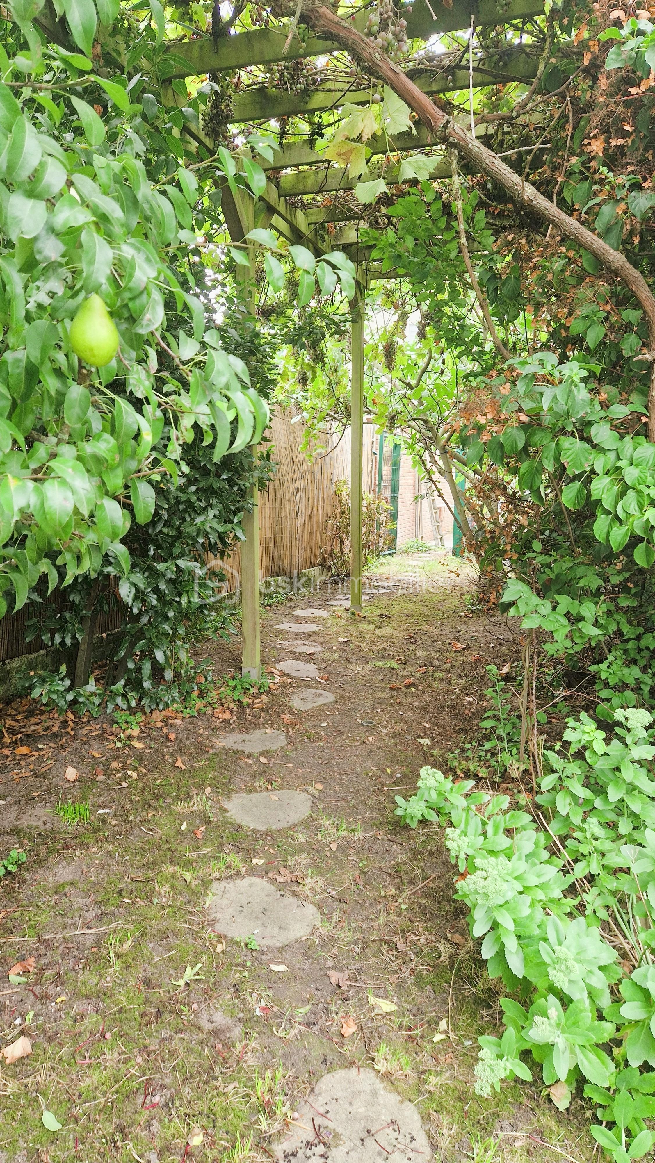 jardin4.jpg
