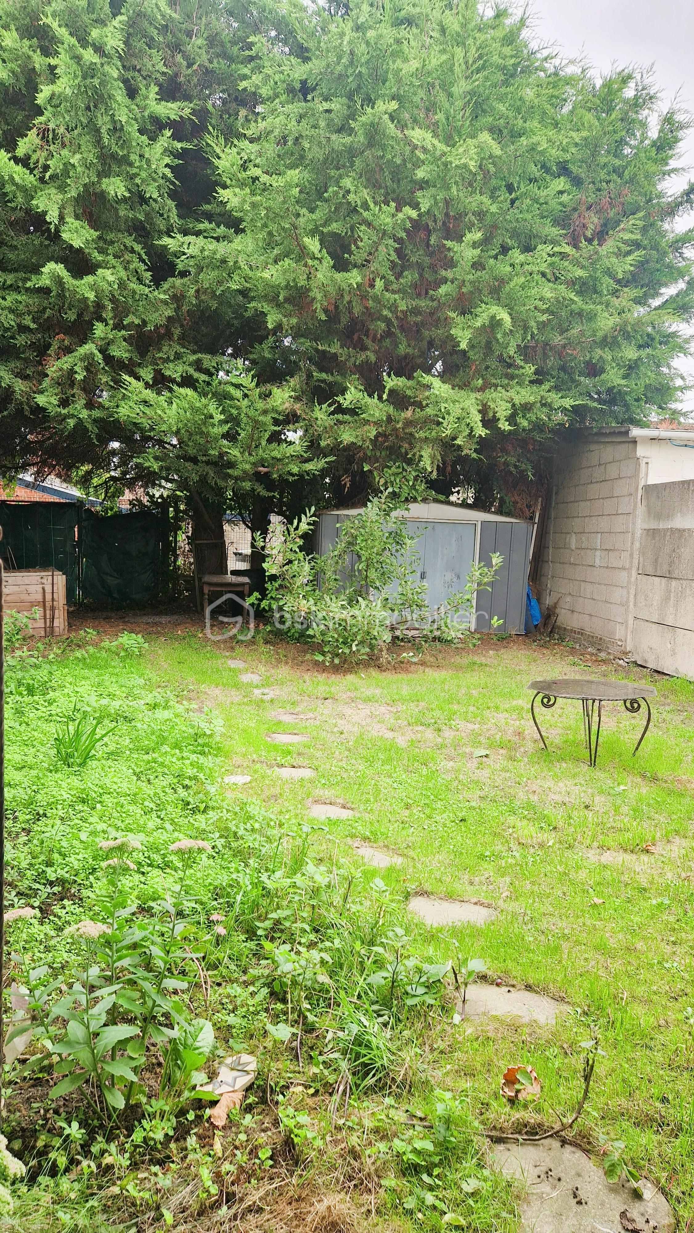 jardin 3.jpg