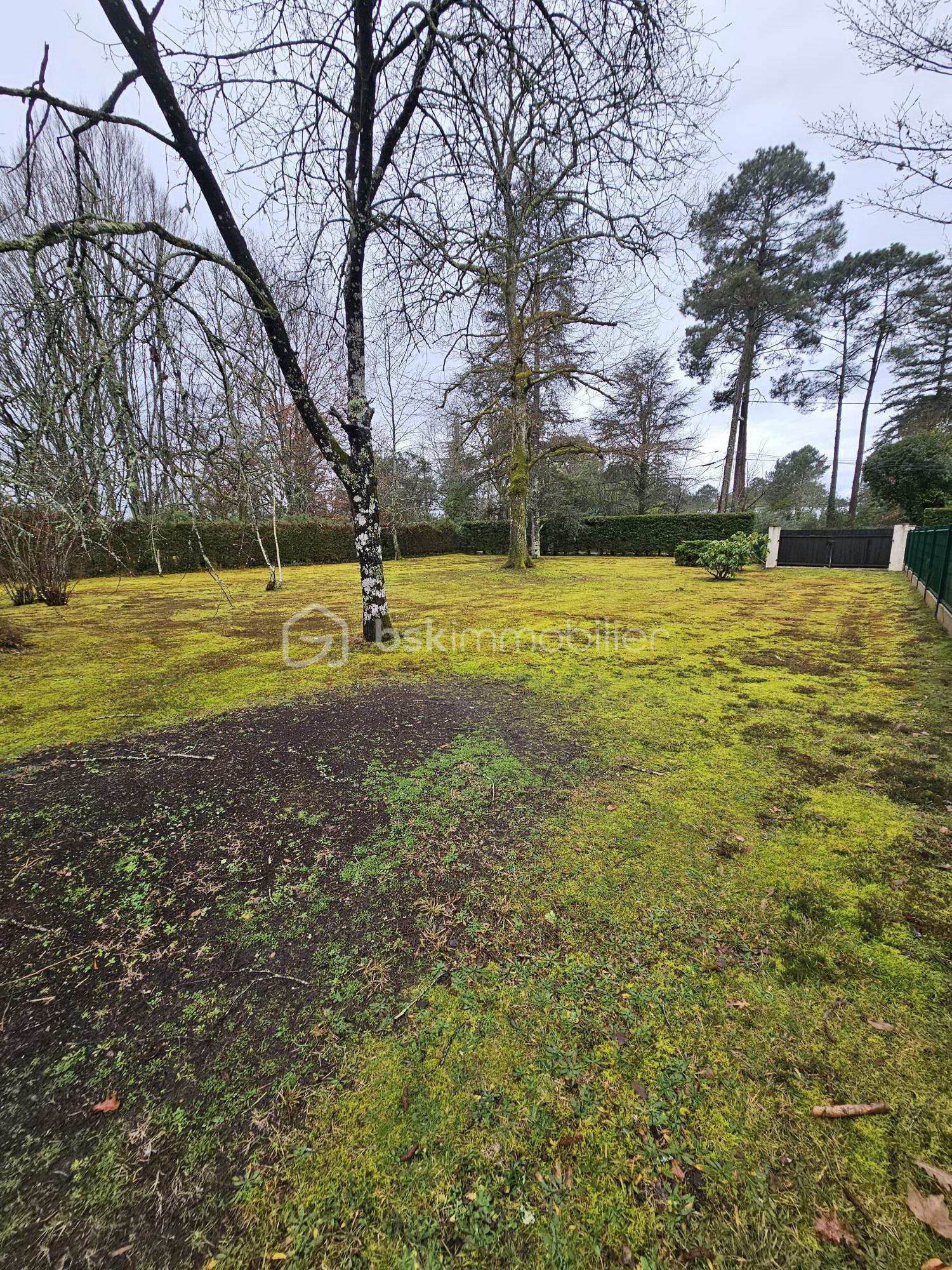 Terrain de 747 m² - vue de l'entrée principale.jpg