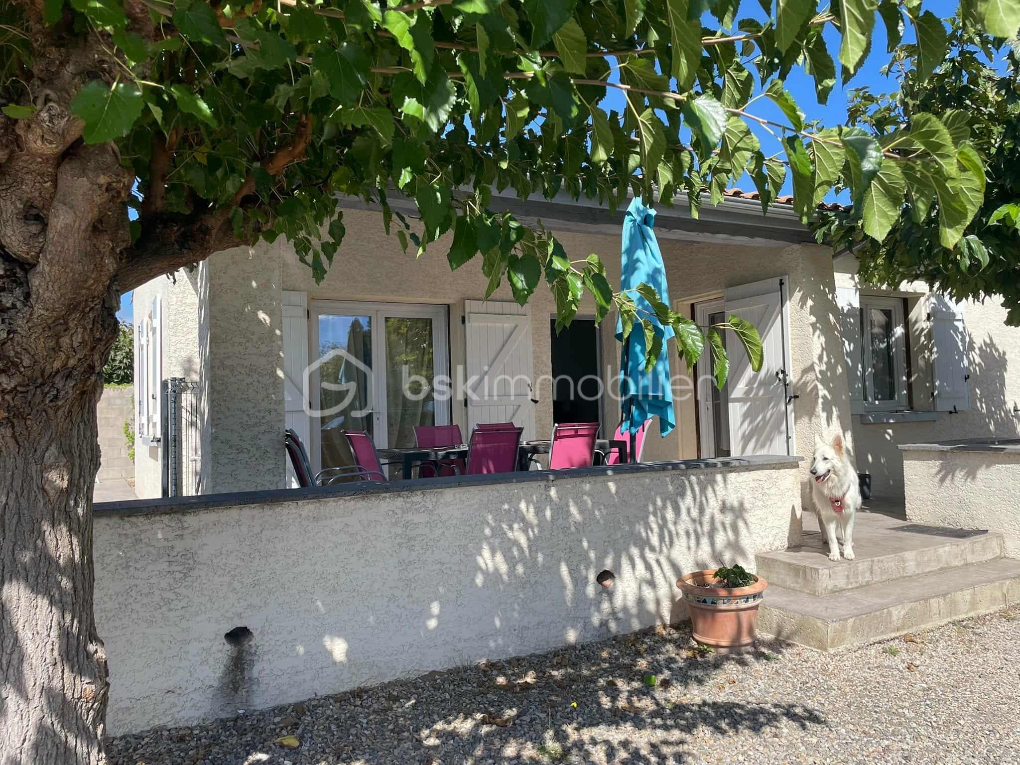 2f879f25-5a7e-4621-9fca-4ac41ae1315c.jfif