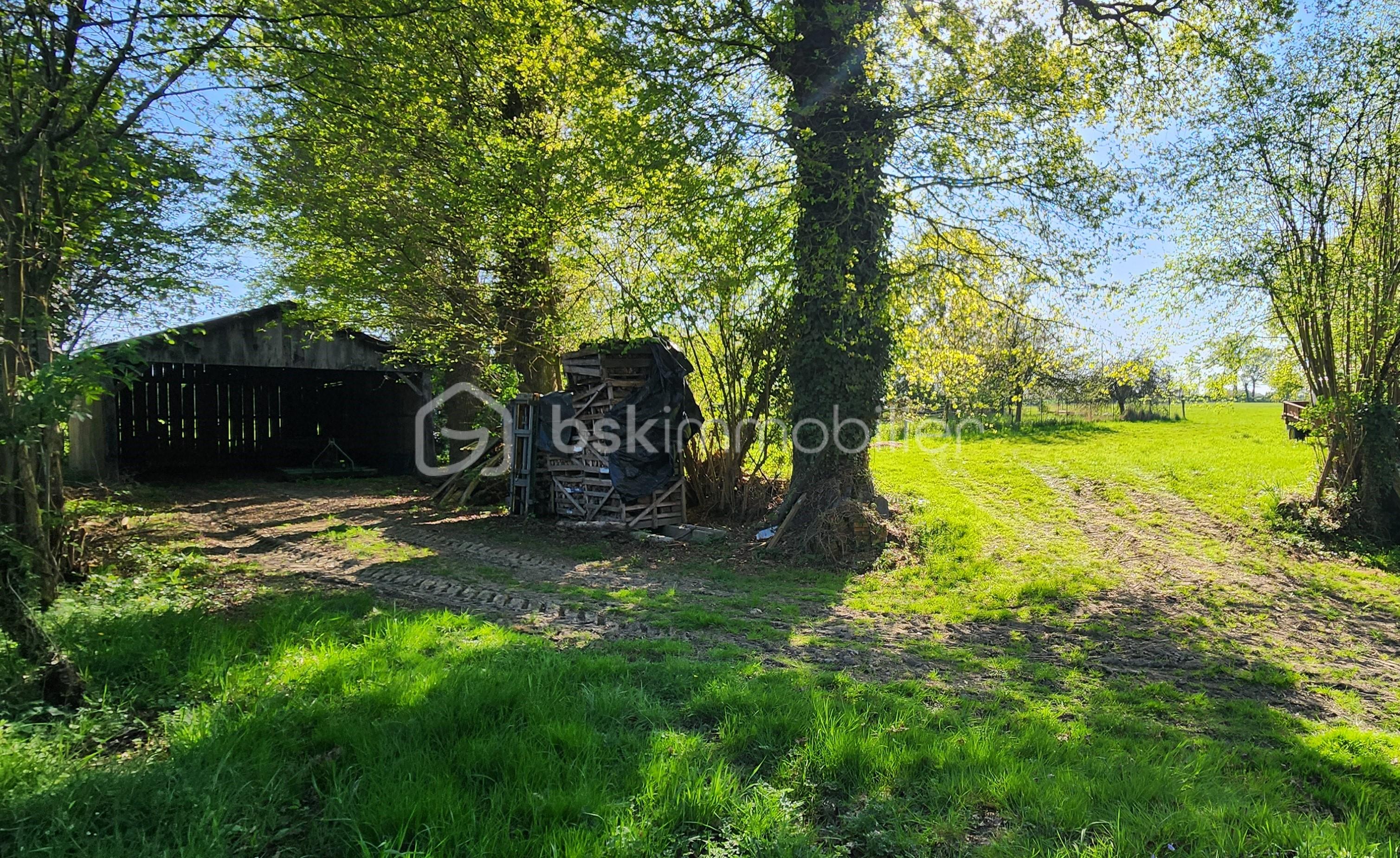 Maison de 120 m² - 20250411_172102.jpg