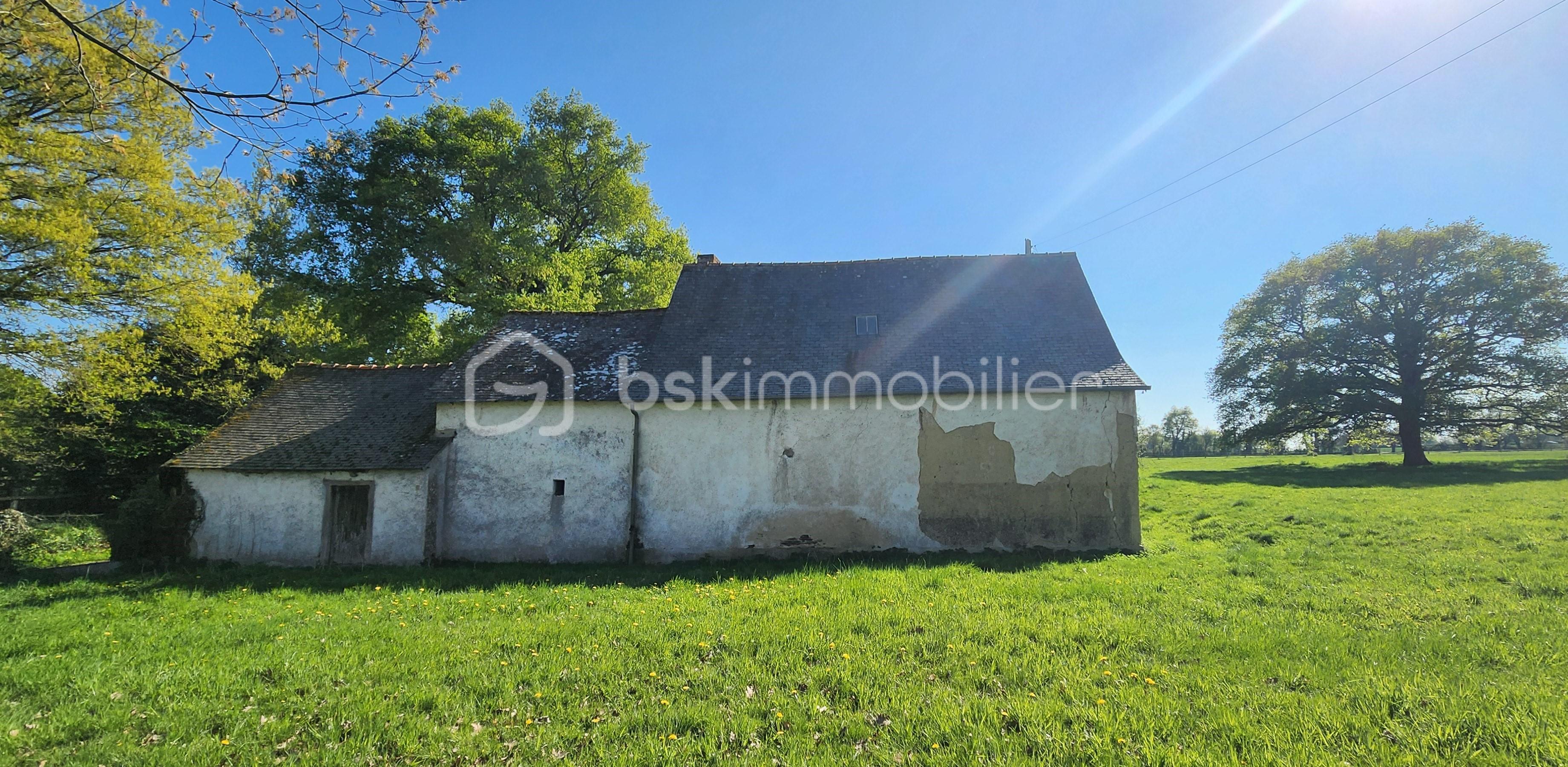Maison de 120 m² - 20250411_172327.jpg