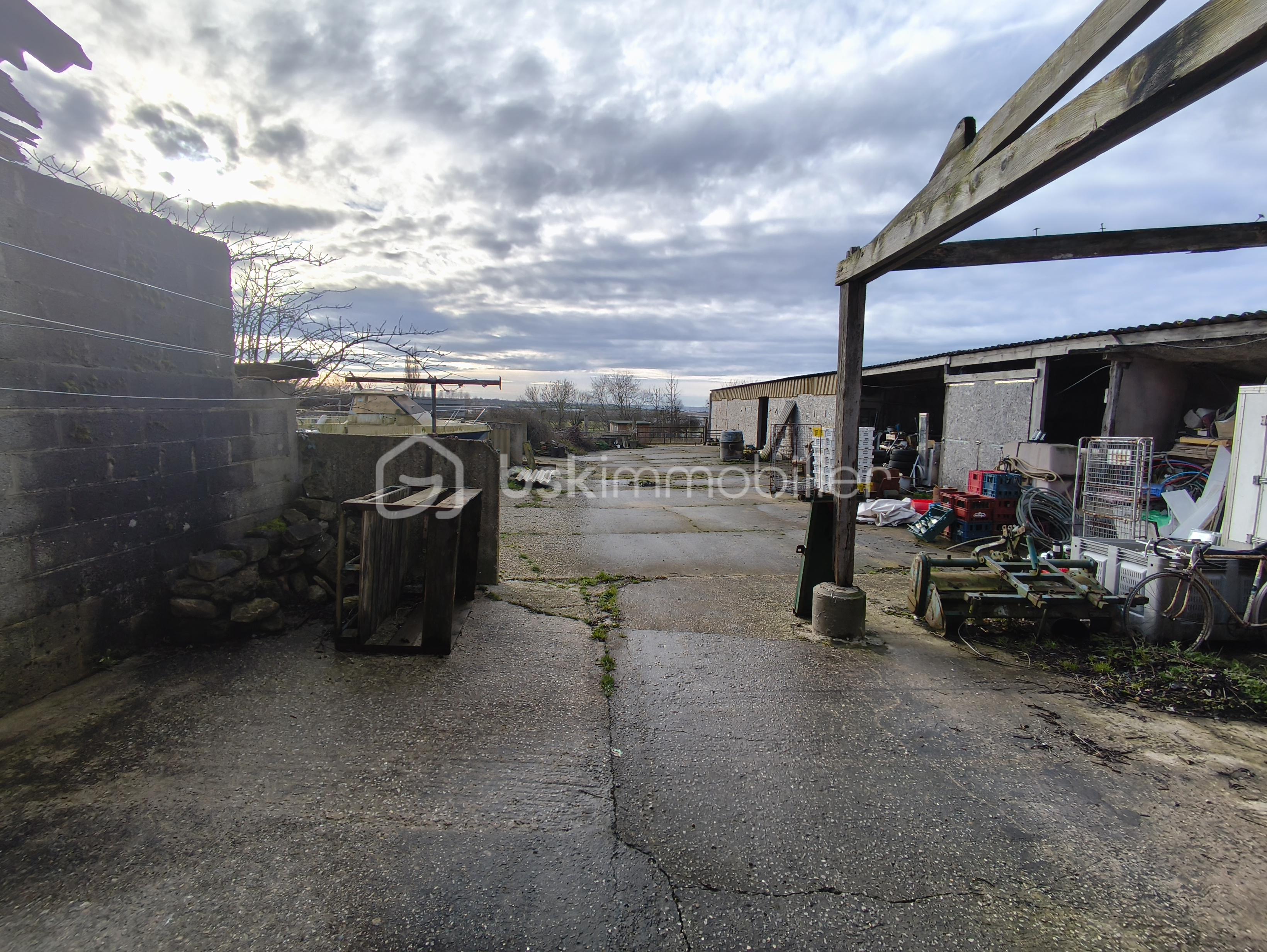 Maison de 245 m² - 1000005762.jpg