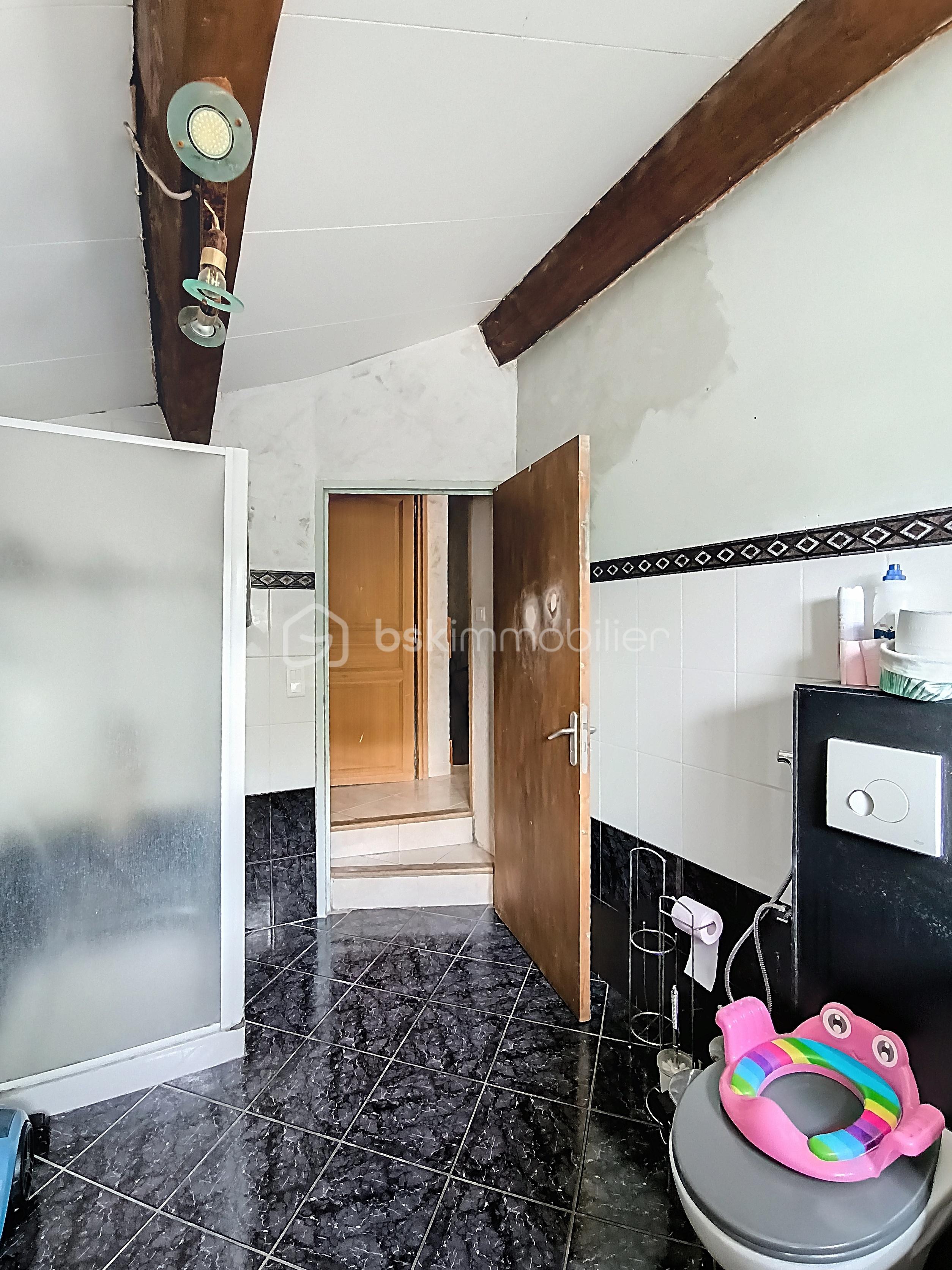 Maison de 287 m² - salle d'eau.jpg