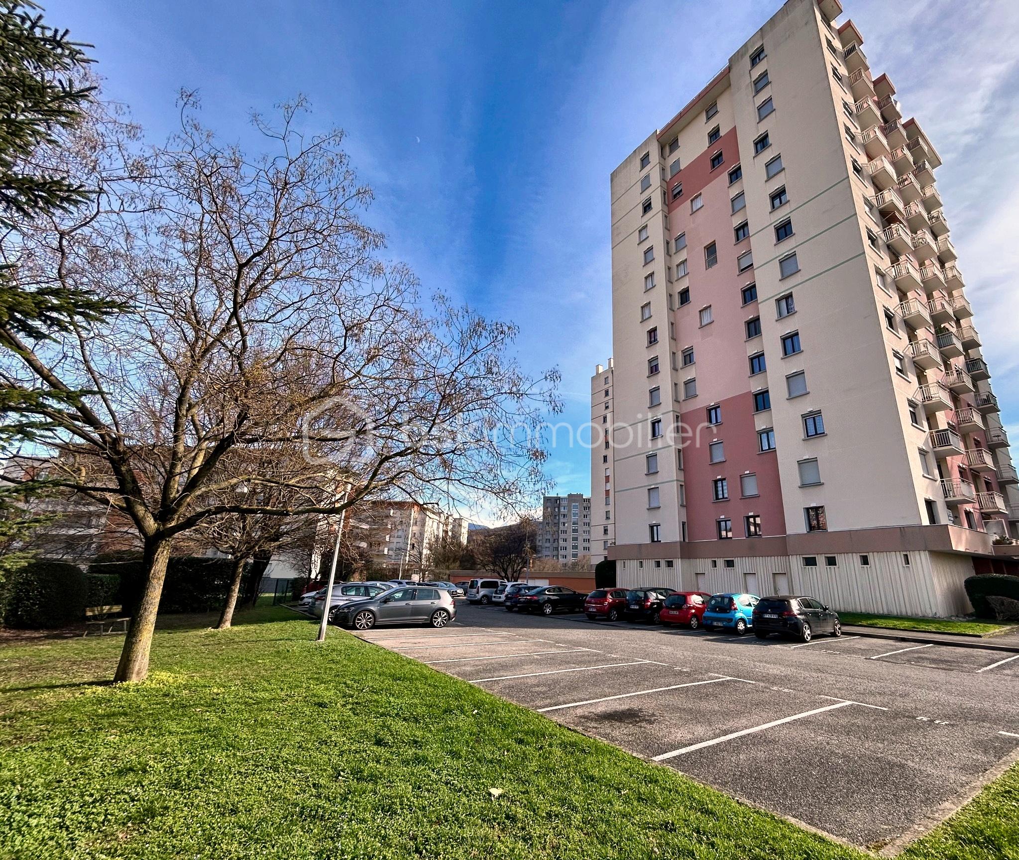 IMG_5458_enhanced (1).jpg