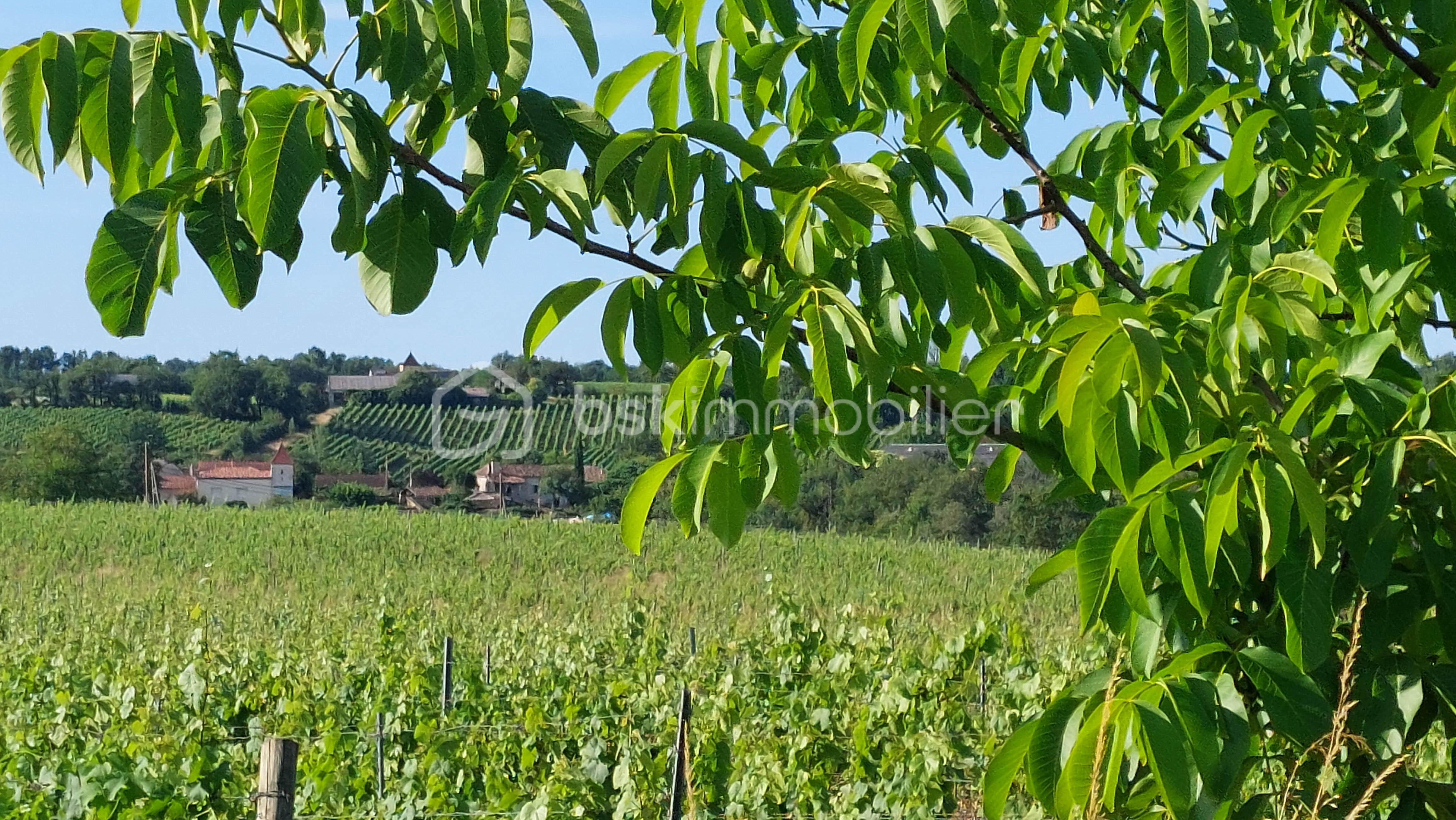 Demeure de 135 m² - 20240713_190740.jpg